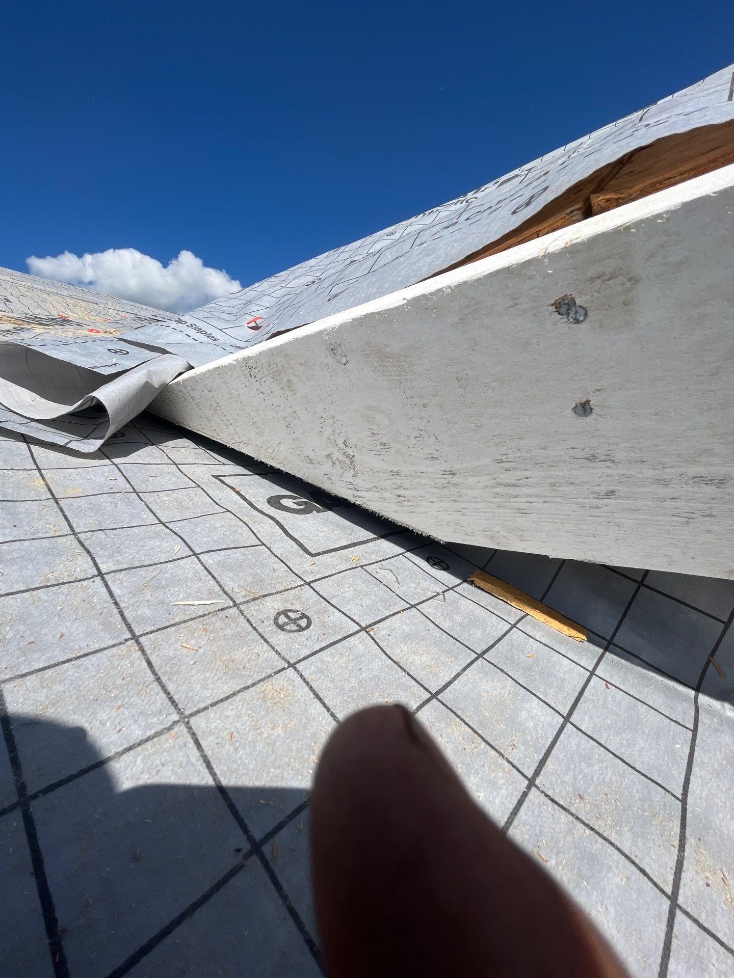 Roof Replacement + Solar + Paint + Updates by Grandmark Service Company