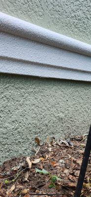 Project in Riverview