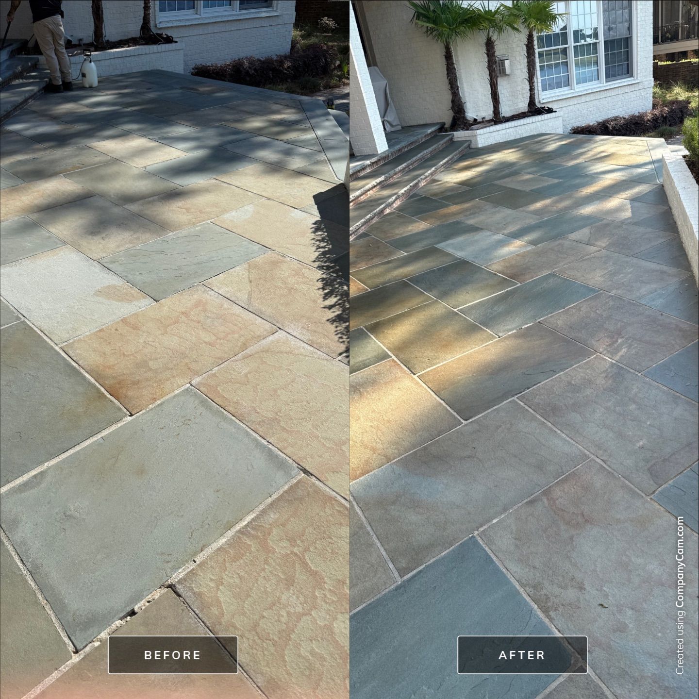 Pool deck cleaning in Wilmington by Shark Power Washing