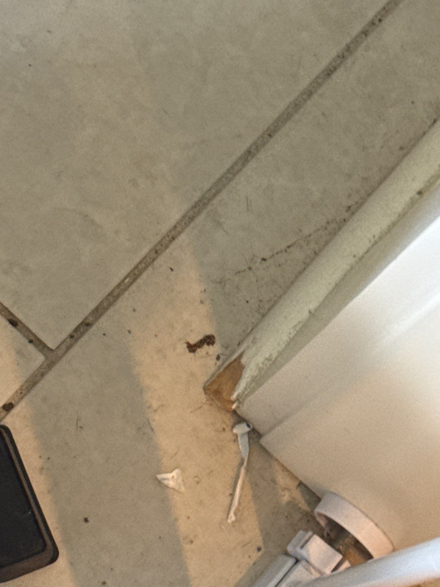 Rouge Painters featured photo.