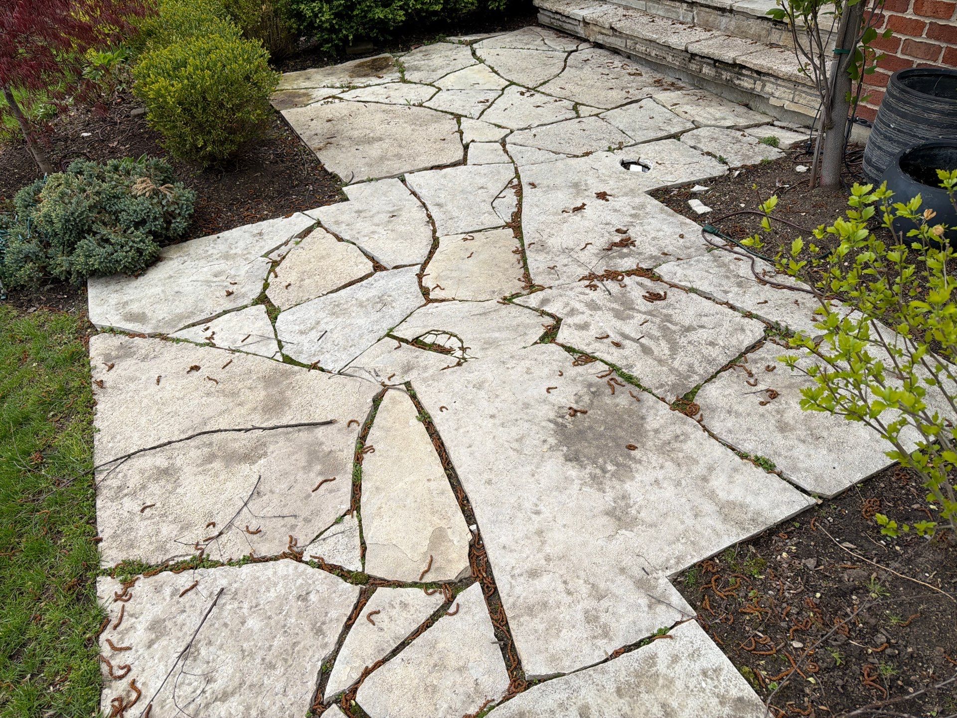 Exterior Stone and Concrete Surface Cleaning by Northern Power Washing LLC.