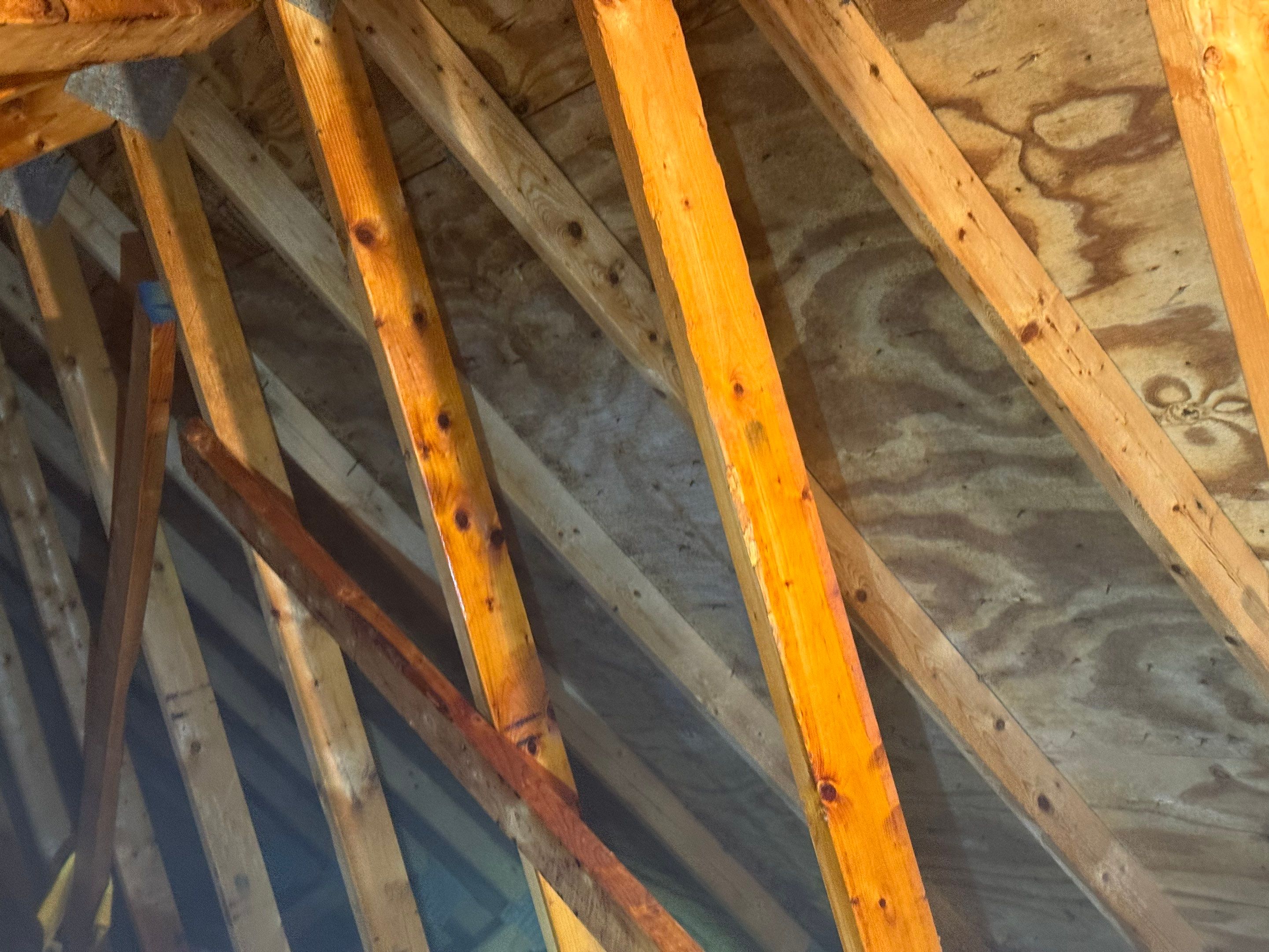 Attic Mold Remediation by Home Guarantee, LLC