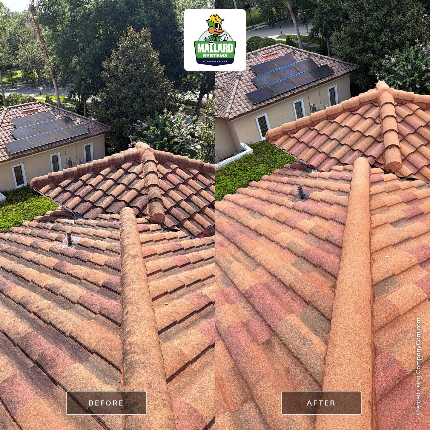 Tile Roof Cleaning in Windermere by Mallard Systems