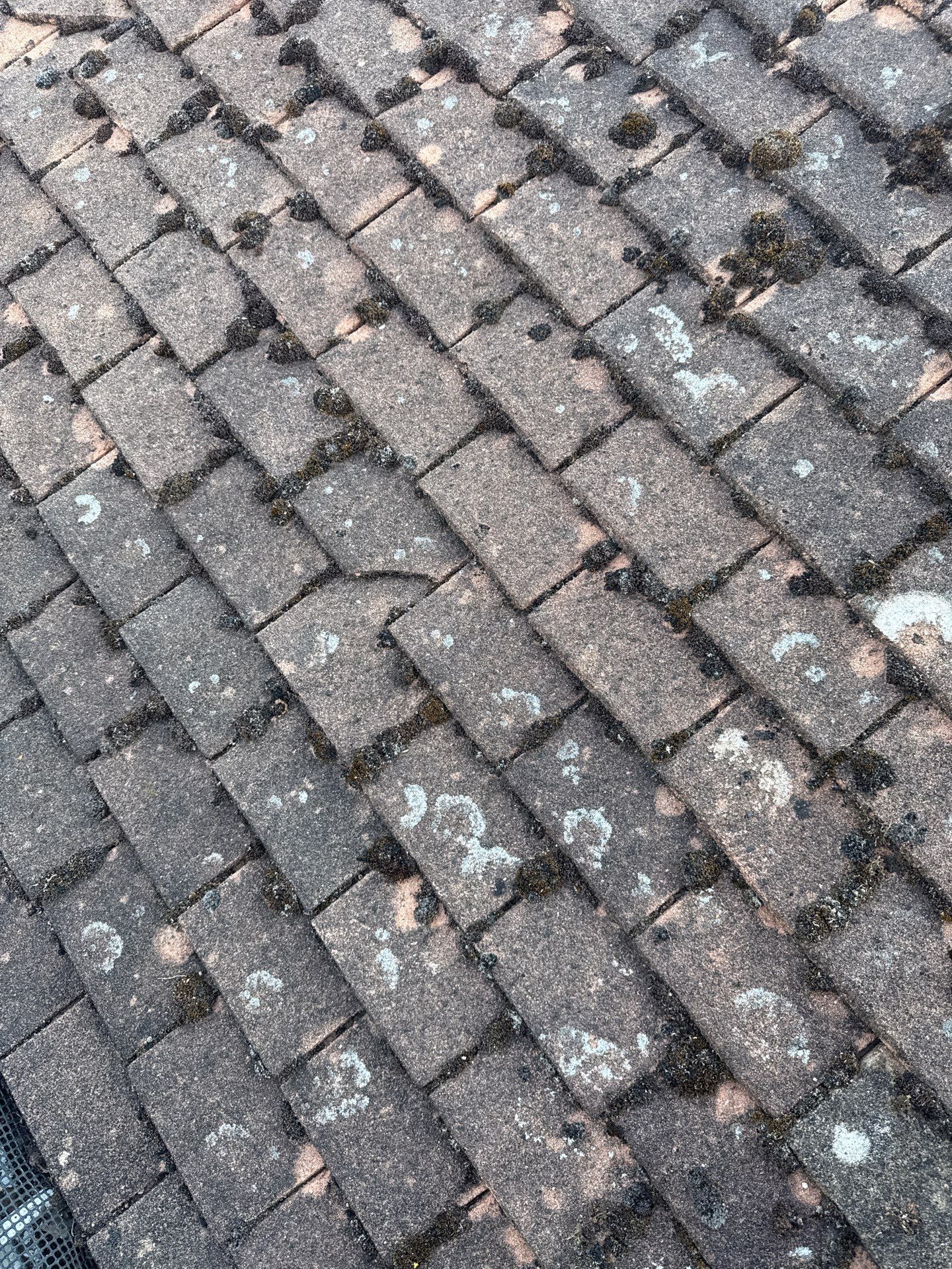 Roof Clean - Gutter Clean - Biocide Treatment by Ges Exterior Cleaning ltd