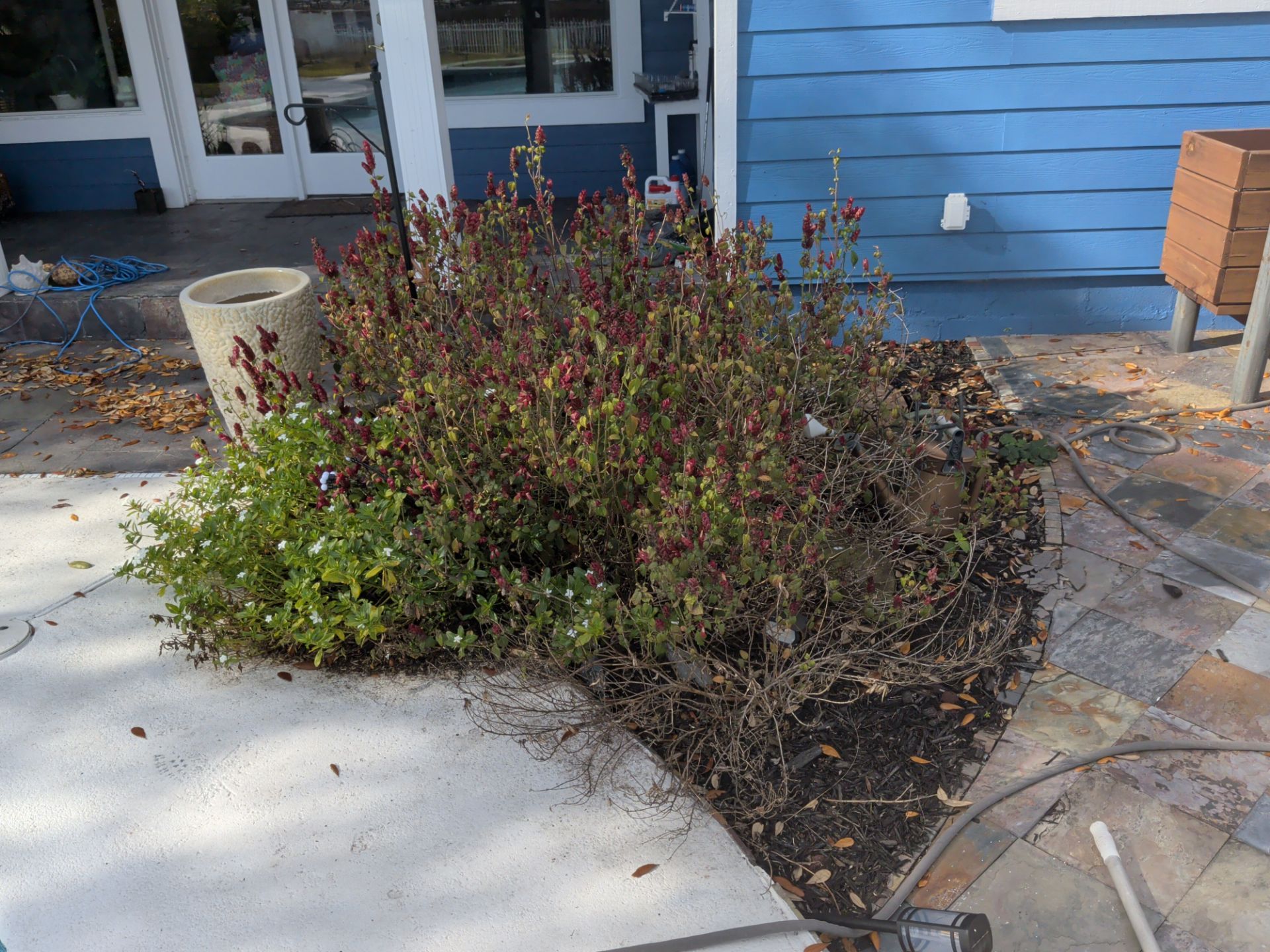 Flower Bed & Property Cleanup San Pablo area — Jacksonville Beaches, FL by Harmoni Home Services