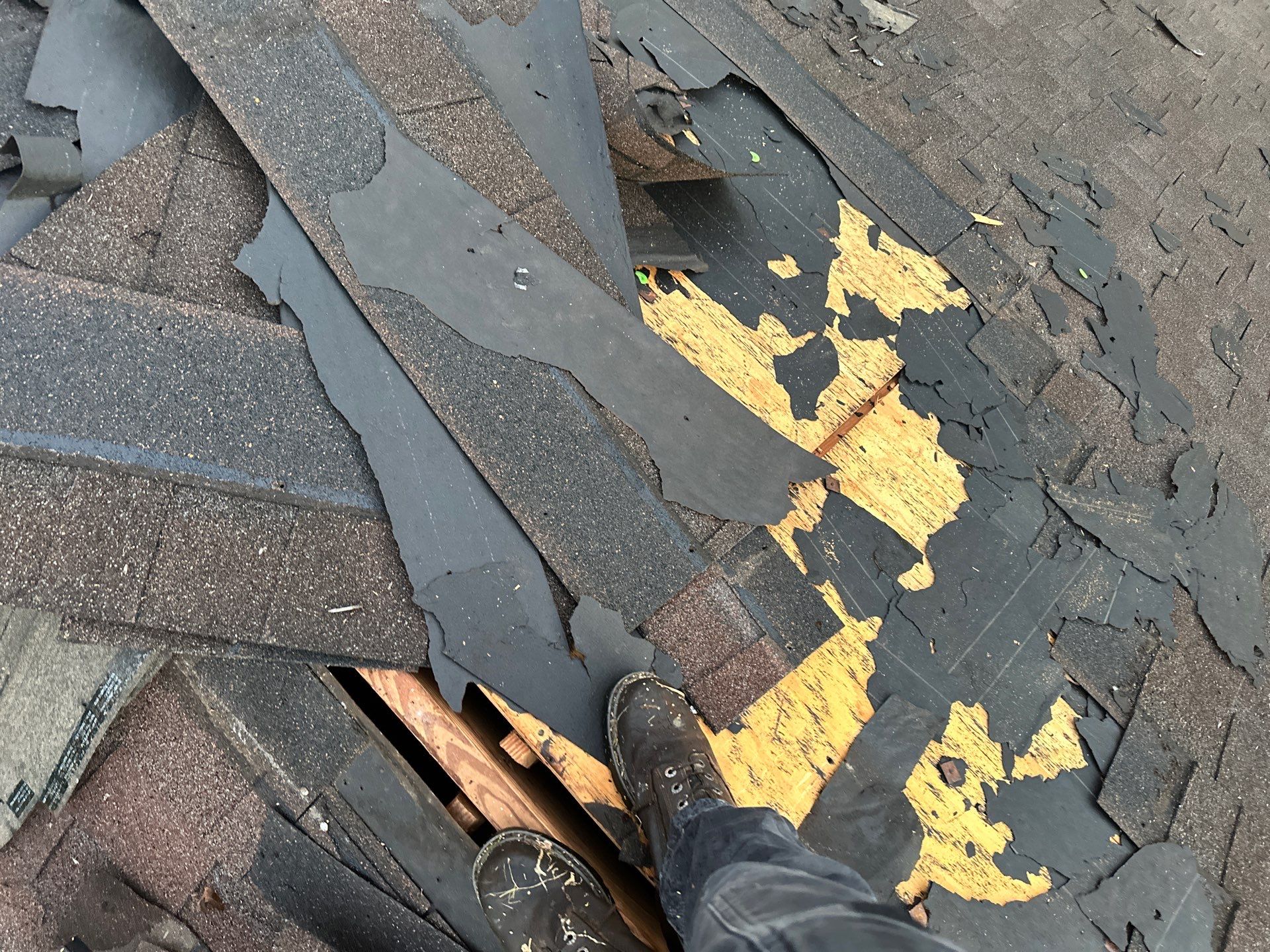 GAF HDZ TIMBERLINE BARKWOOD by Motion Roofing