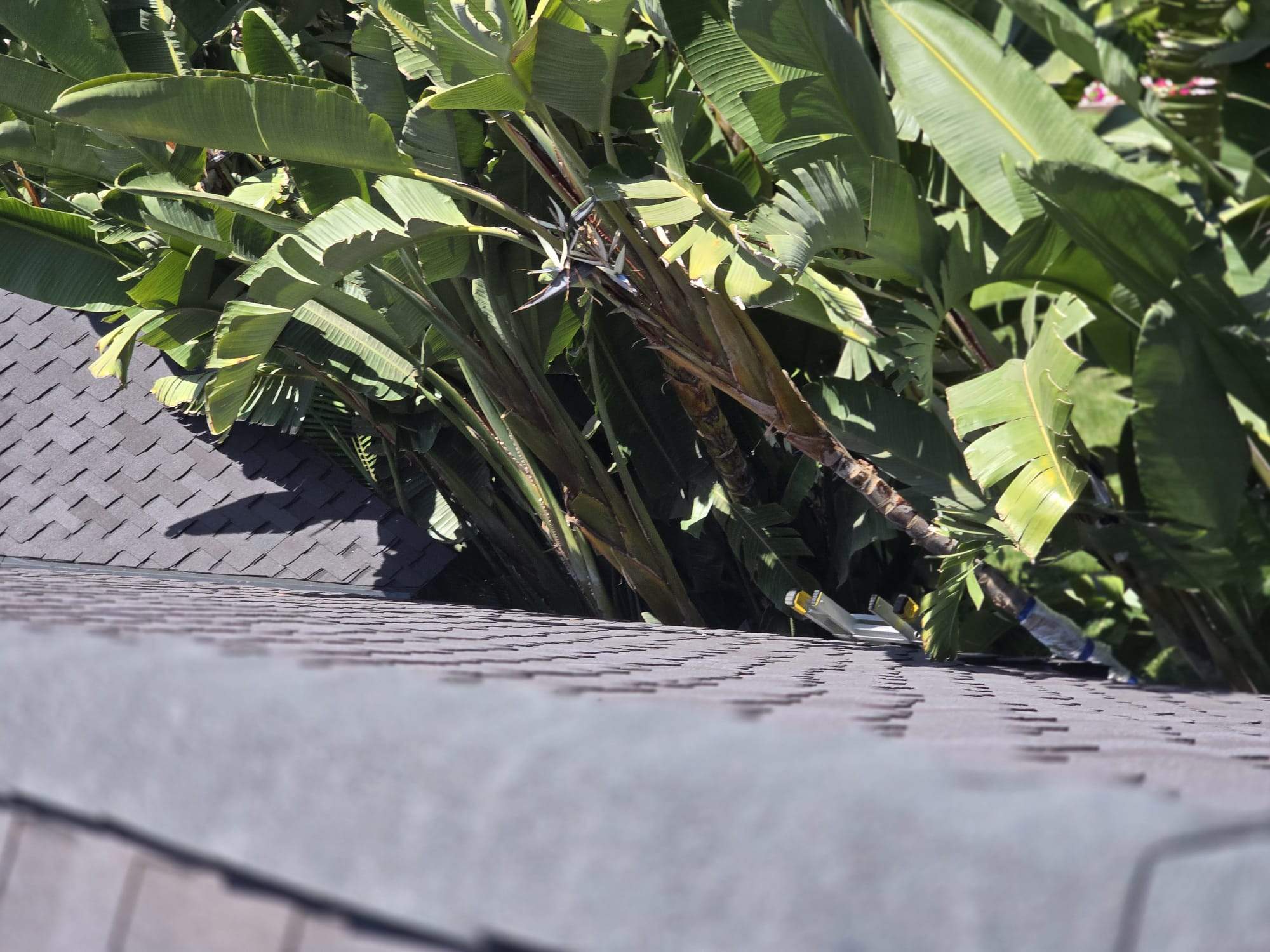 Roof Replacement- Beverly Hills, CA 90210 by Epic Roof Replacement