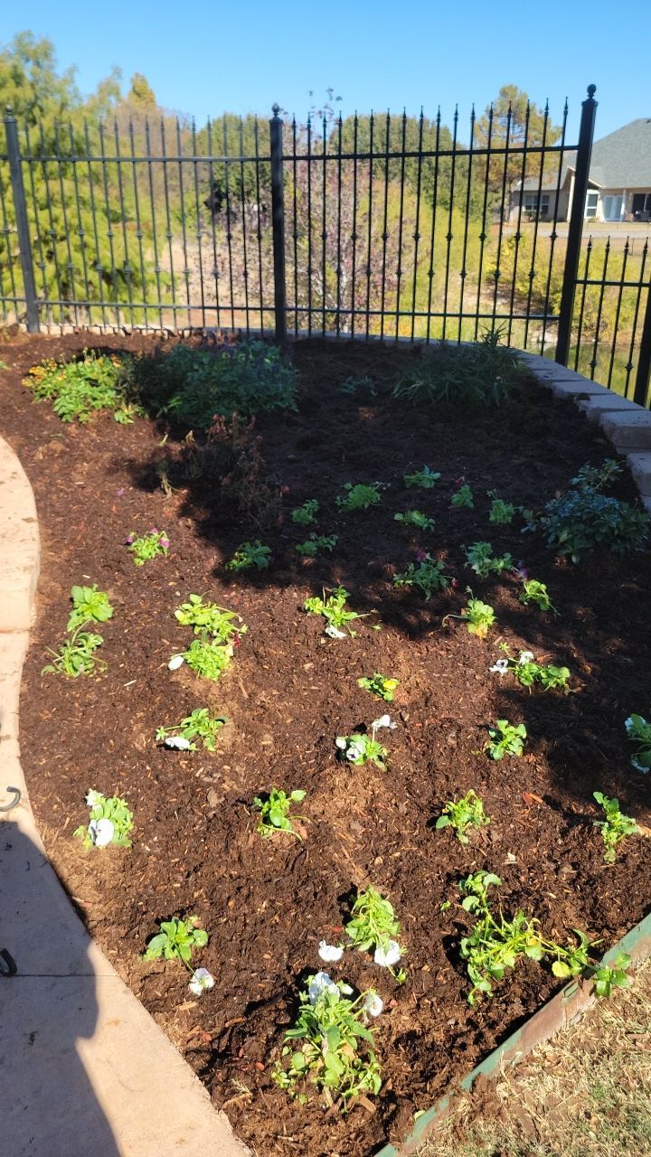 Landscape  by Clays Services Inc