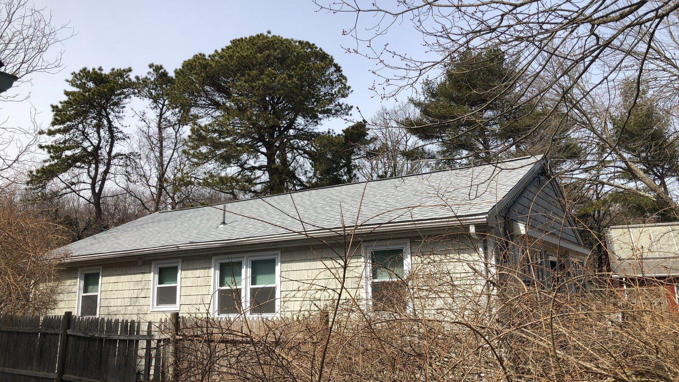 Silver Birch by Pinnacle Roofing & Skylights