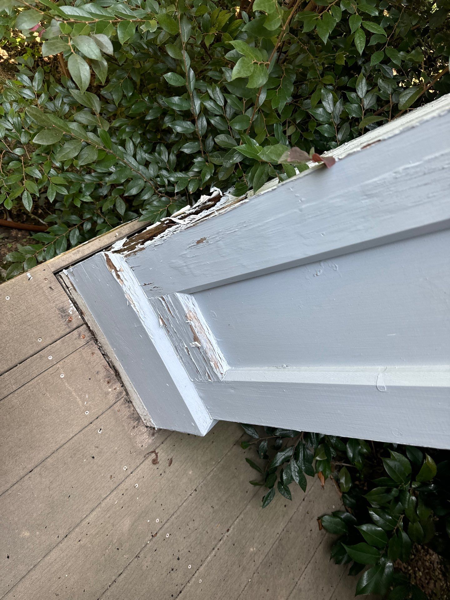 Carpentry and Full exterior paint by GonzalezPainters & Contractors Inc 