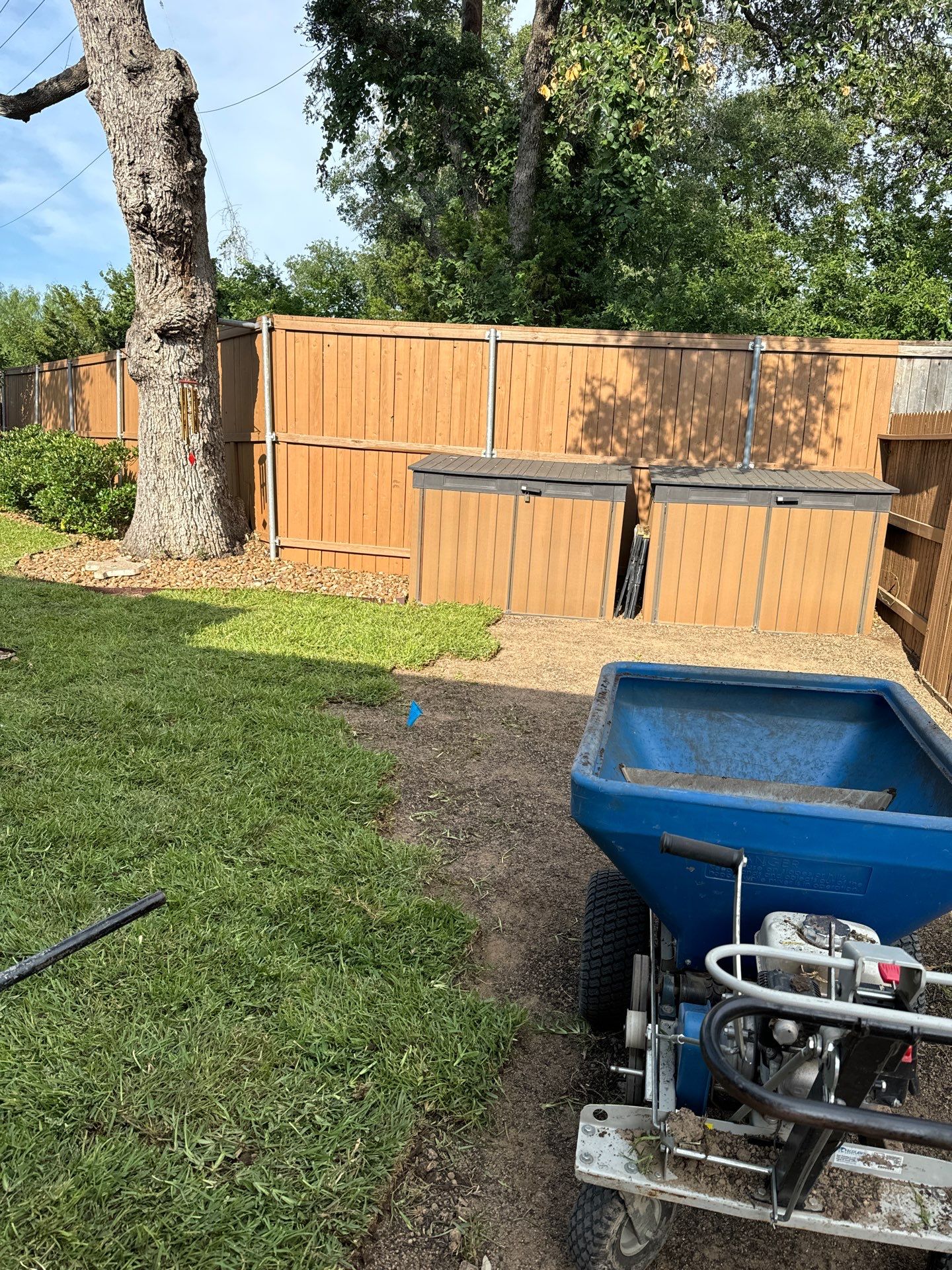 Wortham Oaks - San Antonio, TX by Hole In One Lawns, LLC