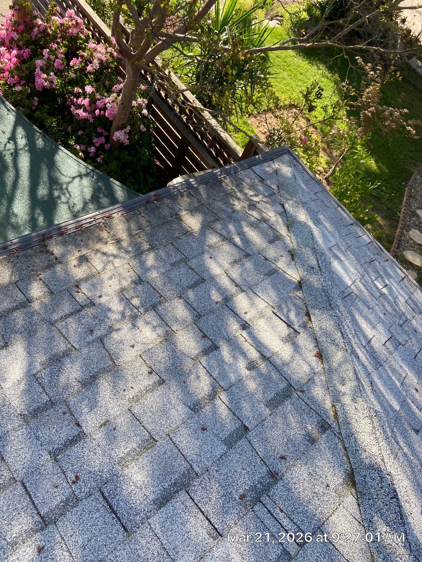 Roof Rejuvenation using Roof Maxx Treatment by Roof Maxx of Folsom