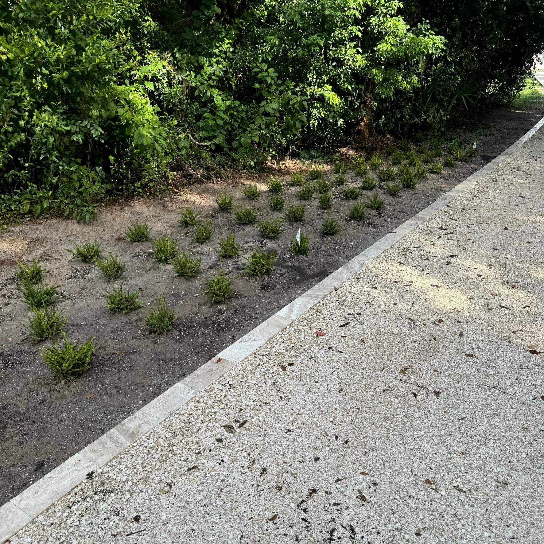 Landscape Install | Residence by ProGreen Services