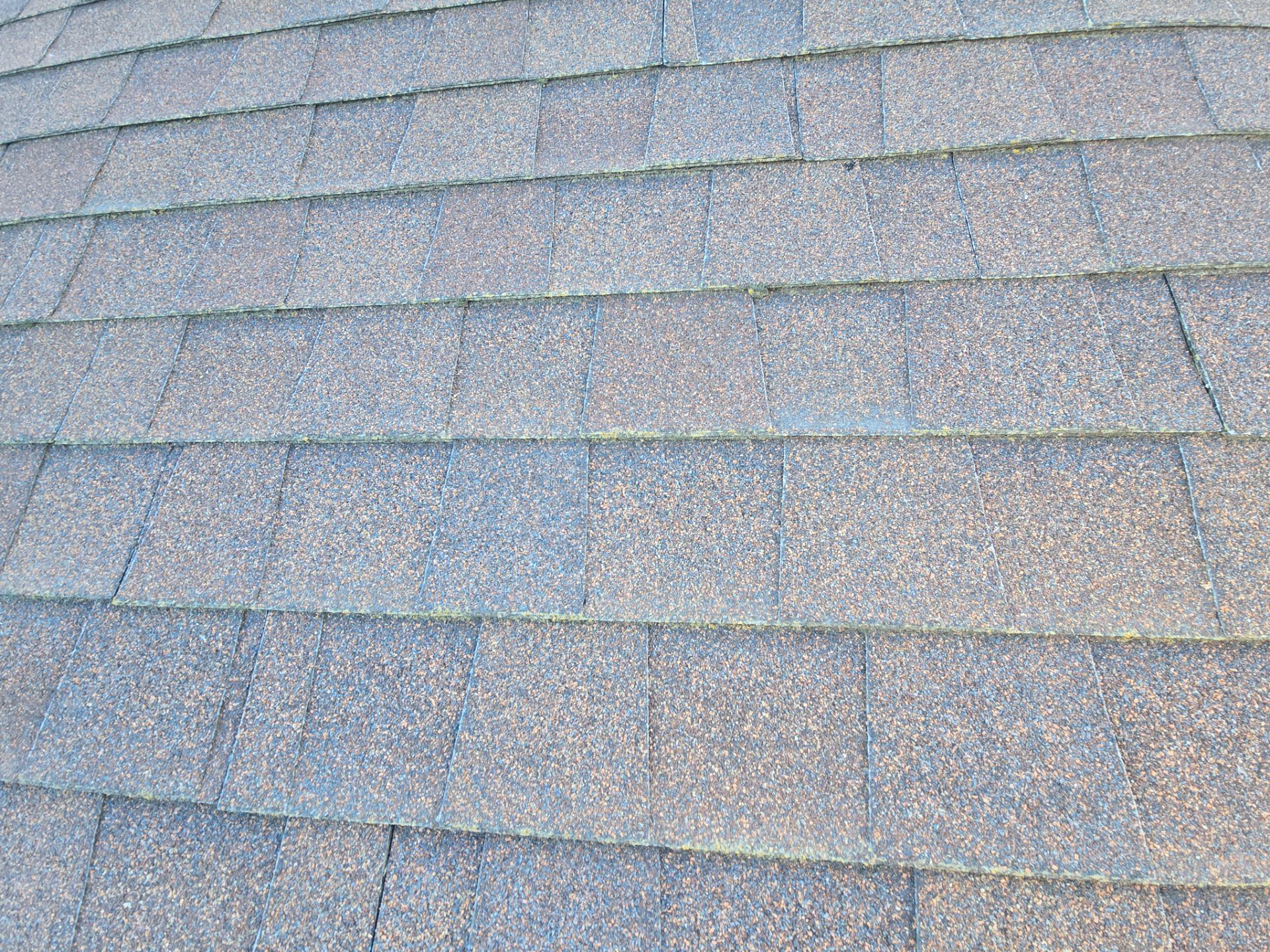 Roof Rejuvenation using Roof Maxx Treatment by Roof Maxx of Folsom