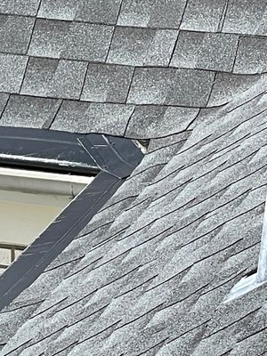 Turtle Shell gutter protection installation in Oak Brook, IL 60523, photograph 12