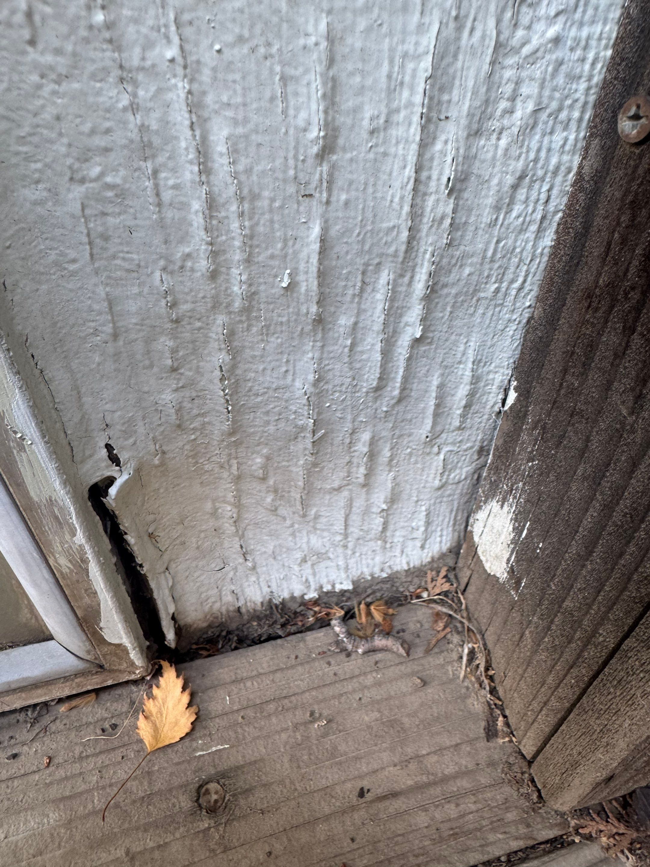 Siding, Windows, Doors, Gutters by BN Covered Exteriors