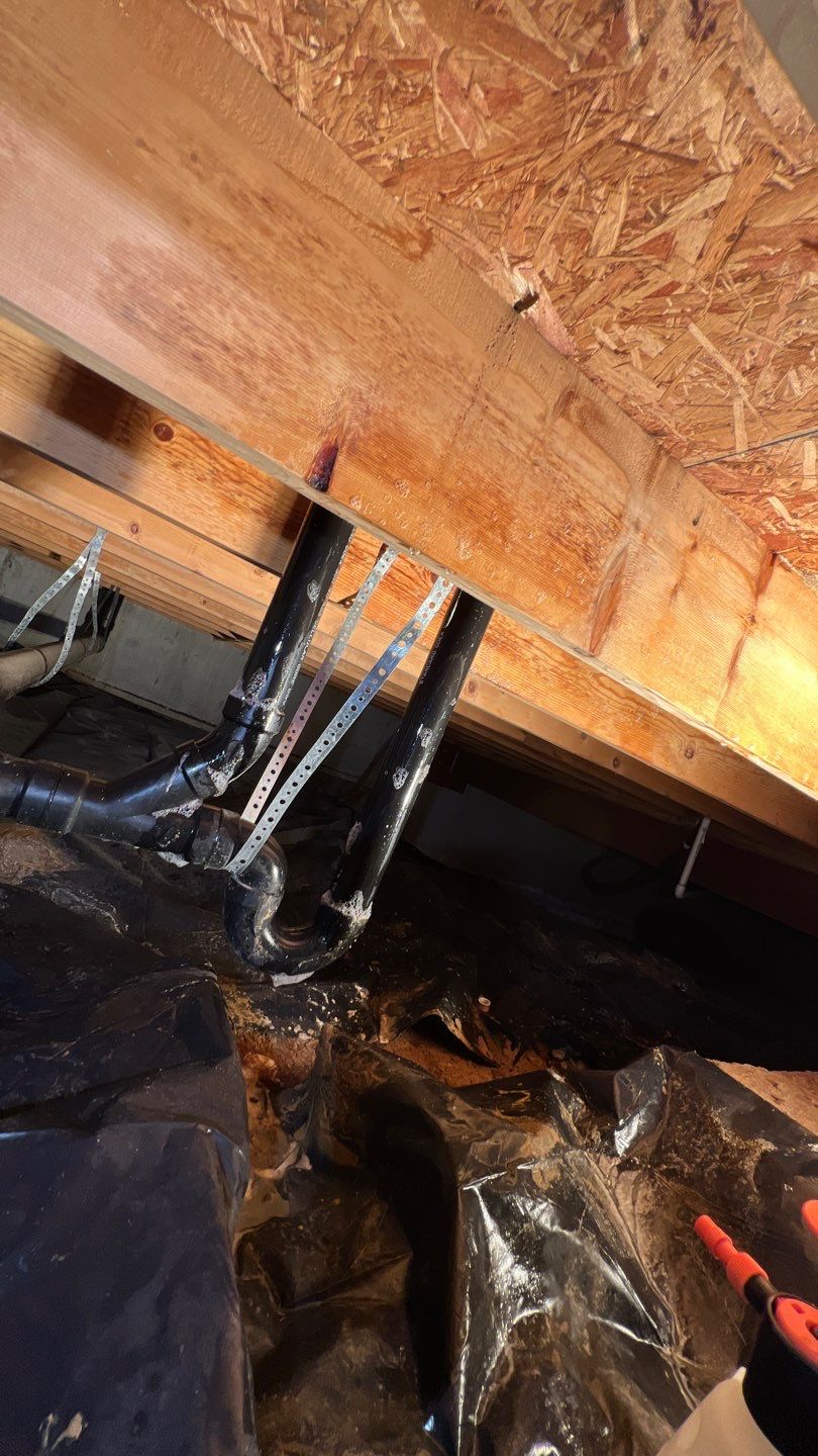 Mold Damage by Accountable Home Services