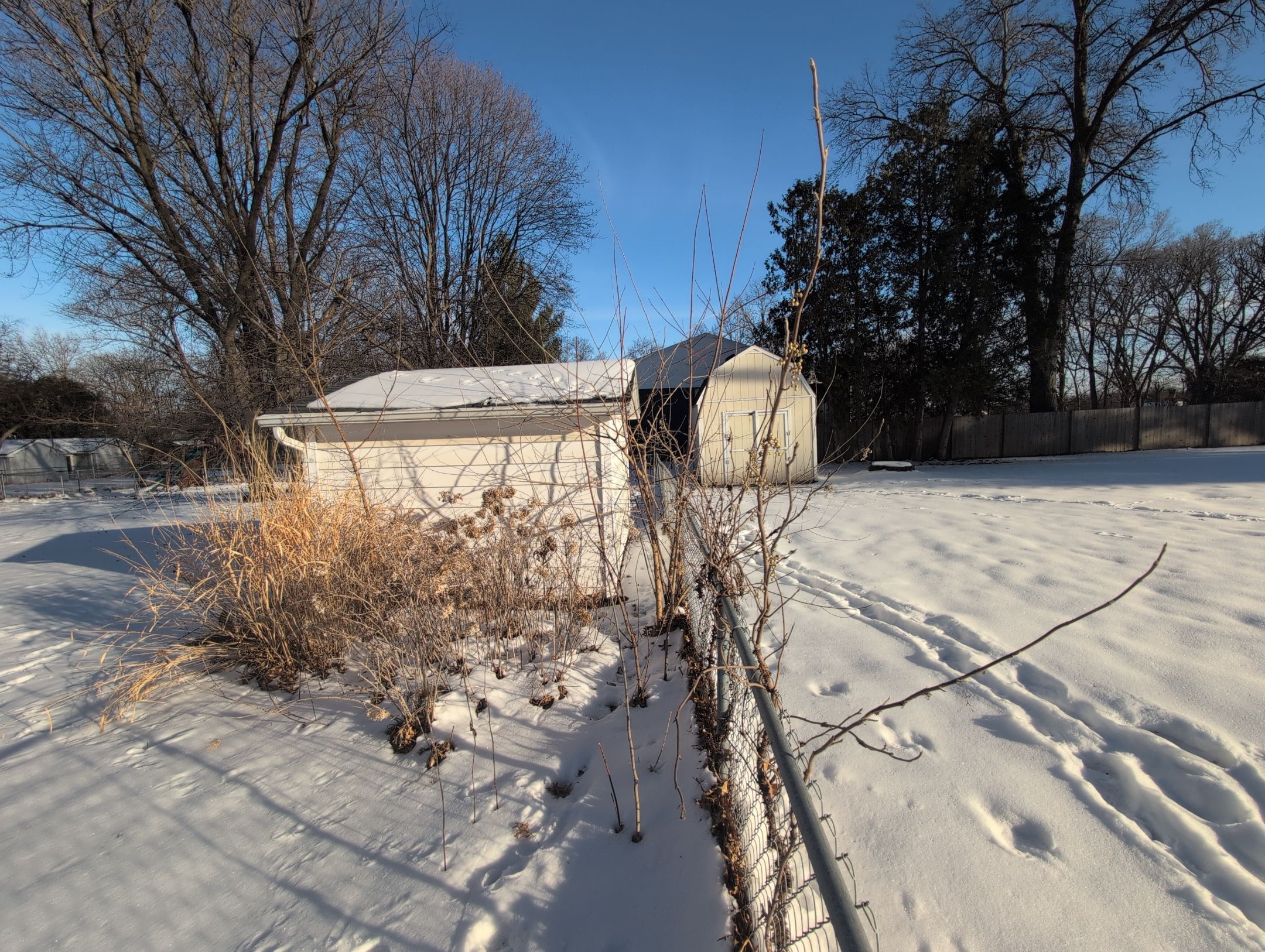Black Vinyl-Coated Chain Link Fence Installation in Cedar Falls by Perfect Picket Fence and Stain