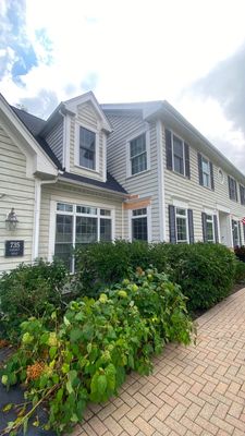 Asphalt Roof Replacement
