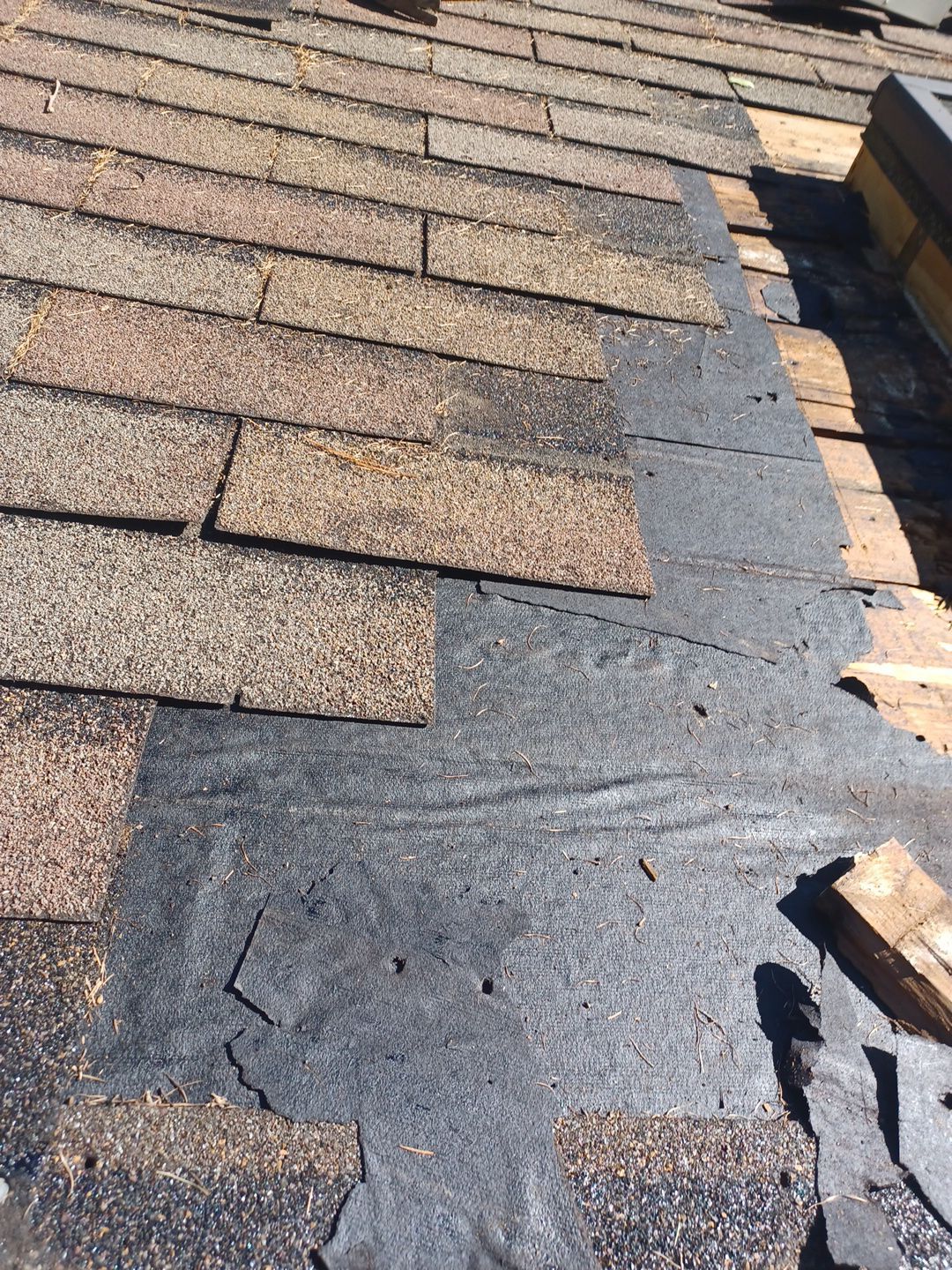 Andy Firestone by Silver Leaf Contracting 