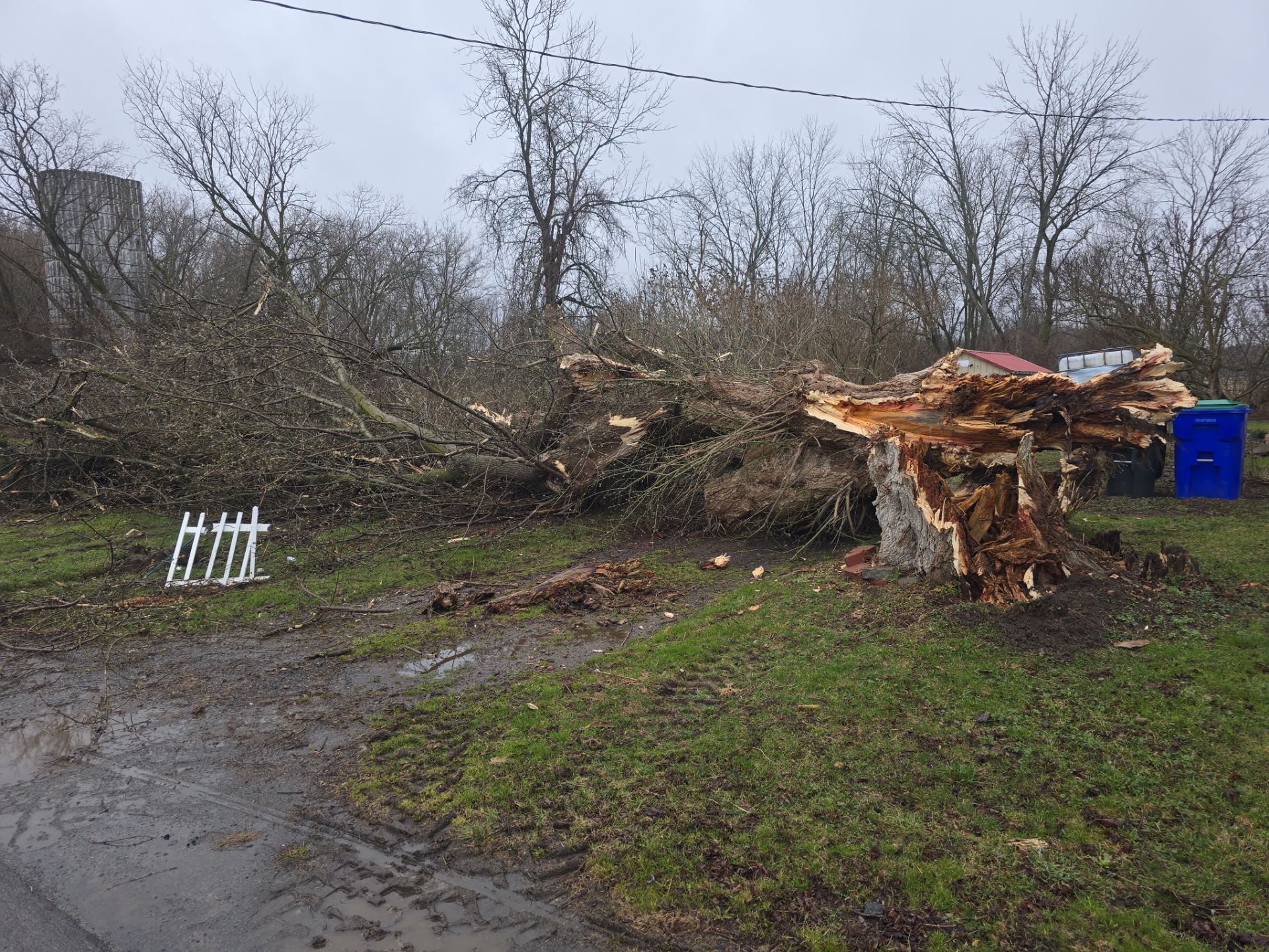 Emergency Job using Bobcat by Treeman Tom LLC