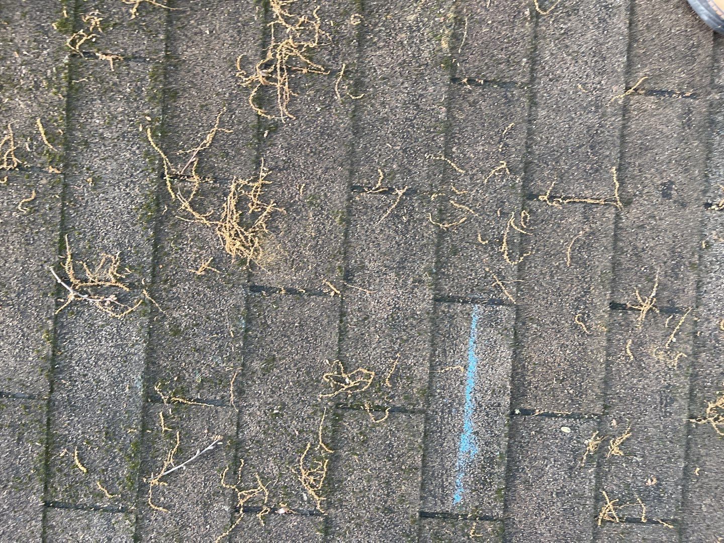 Hail & Wind Damage Roof Replacement | Kirkwood, Atlanta, GA | Travelers Insurance by Mosaic Roofing Company
