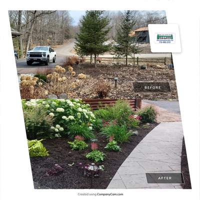New Carriage House Landscape