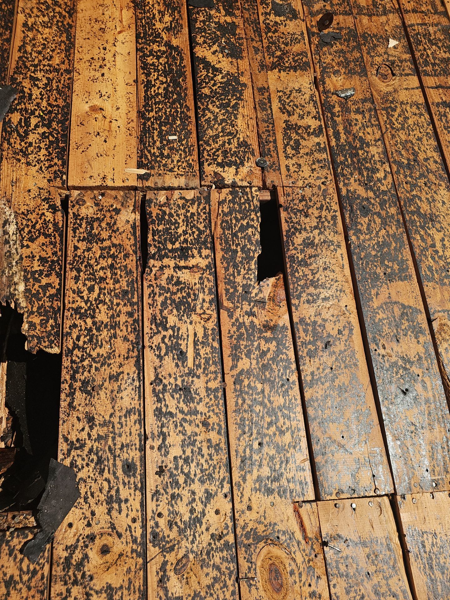 Project in St. Petersburg 33702 by Mitchell Roofing Company LLC 