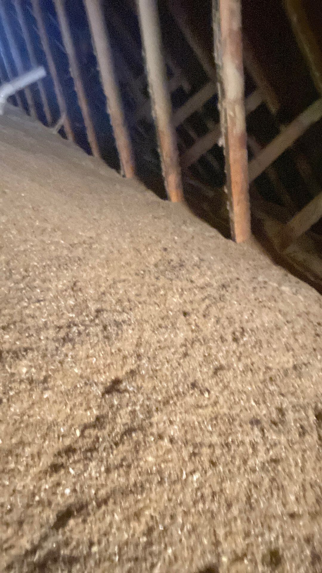 Sterling: Residential Roof Replacement with CertainTeed Landmark Pro Designer Shingles in Max Def Mojave Tan by RM Banning, Inc.