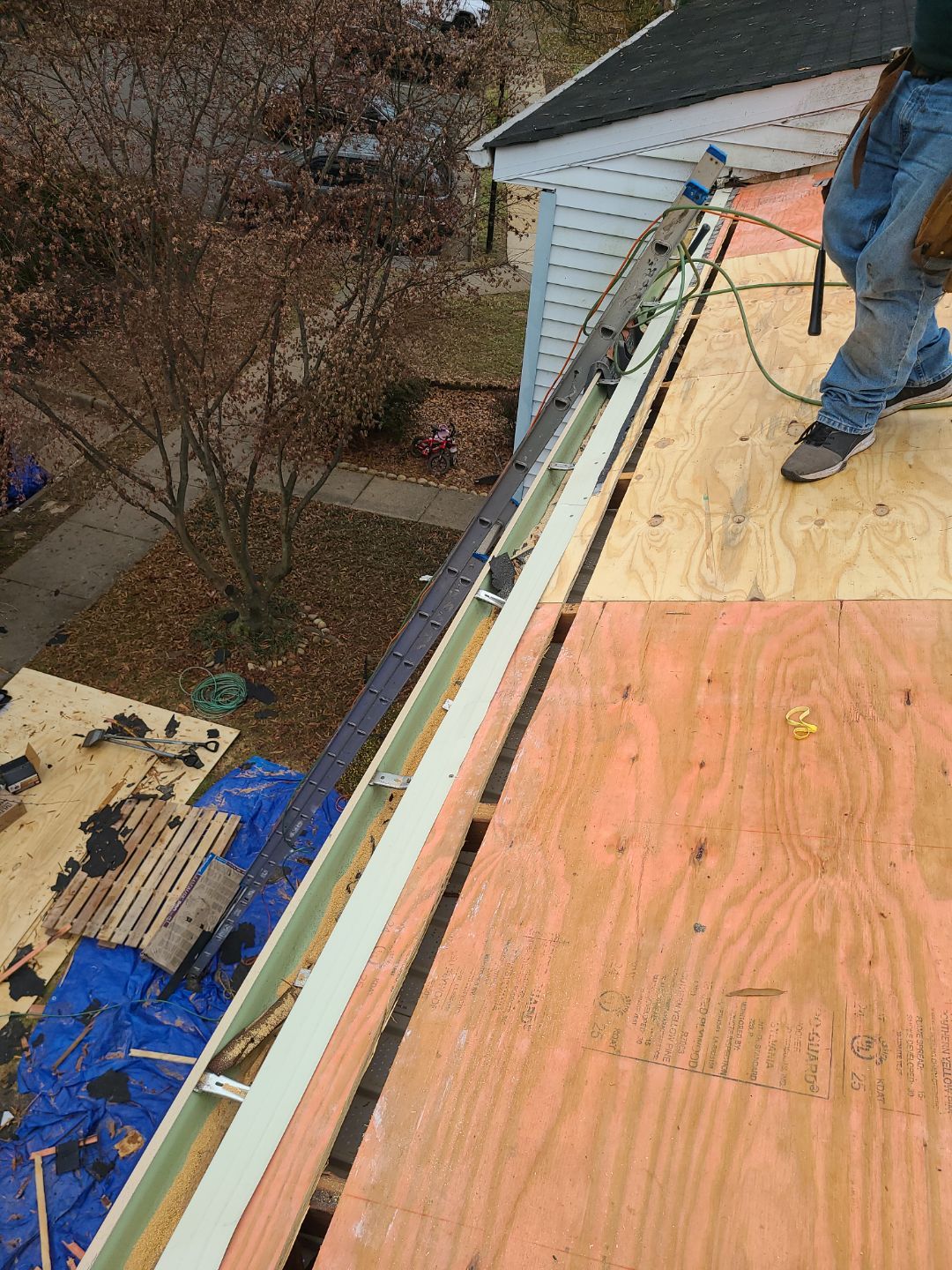 Falls Church: Residential Roof Replacement with CertainTeed Landmark Pro in Max Def Moire Black by RM Banning, Inc.