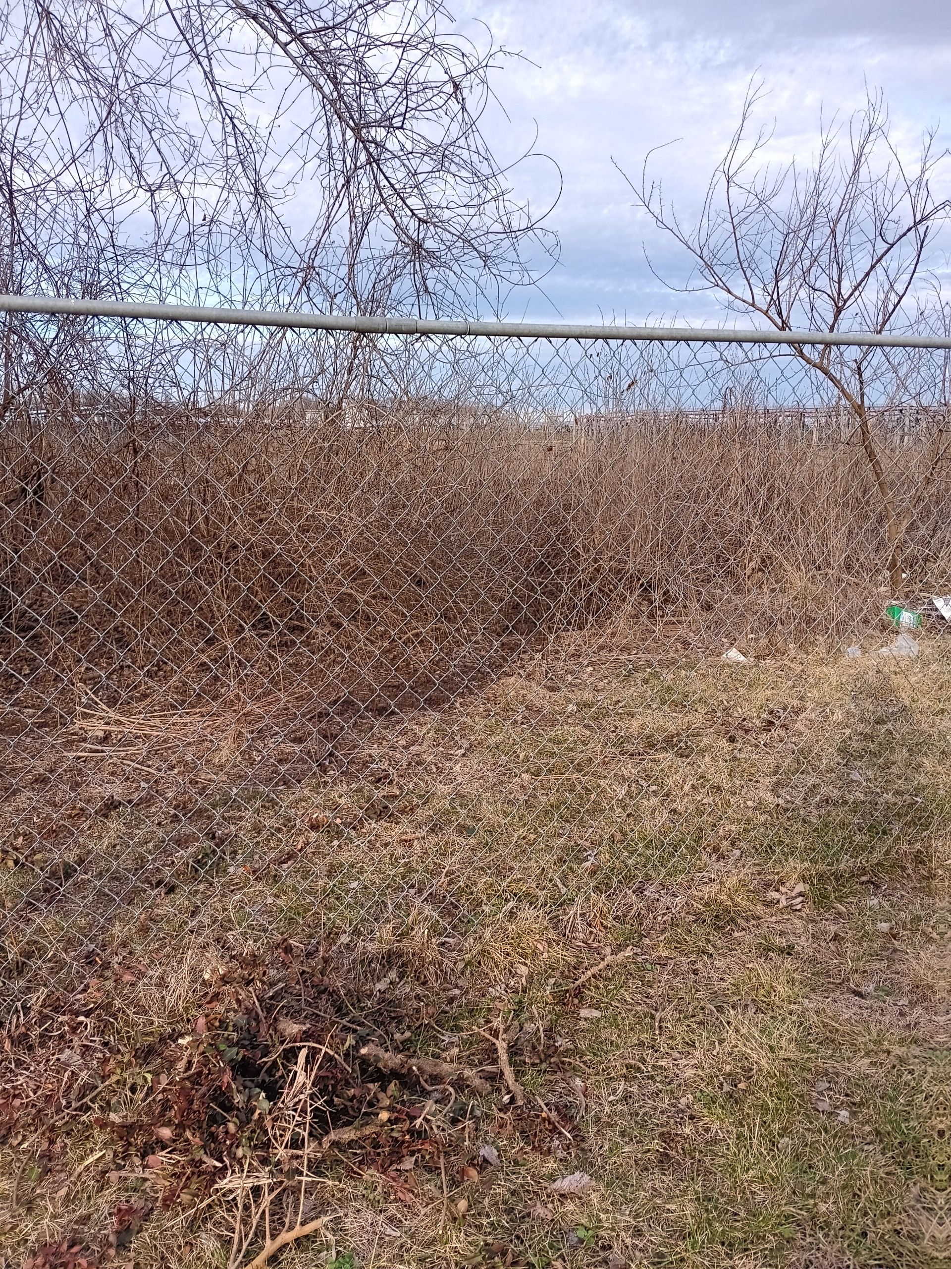 Chain Link Fence Repair and Custom Gate Installation – East St. Louis, IL by Legendary Services Company LLC.