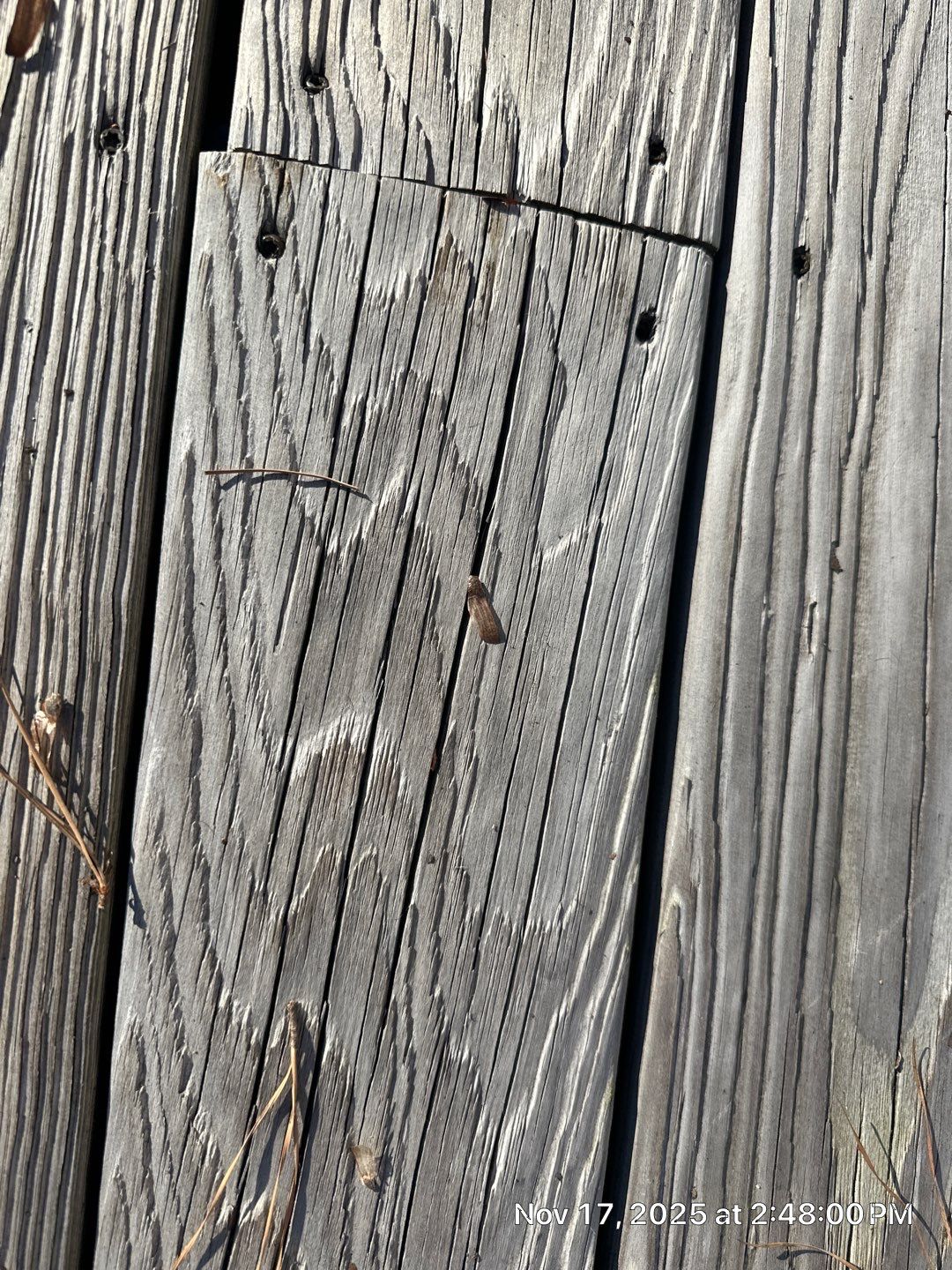 Wood Deck using Wood Sealant by DuraSeal