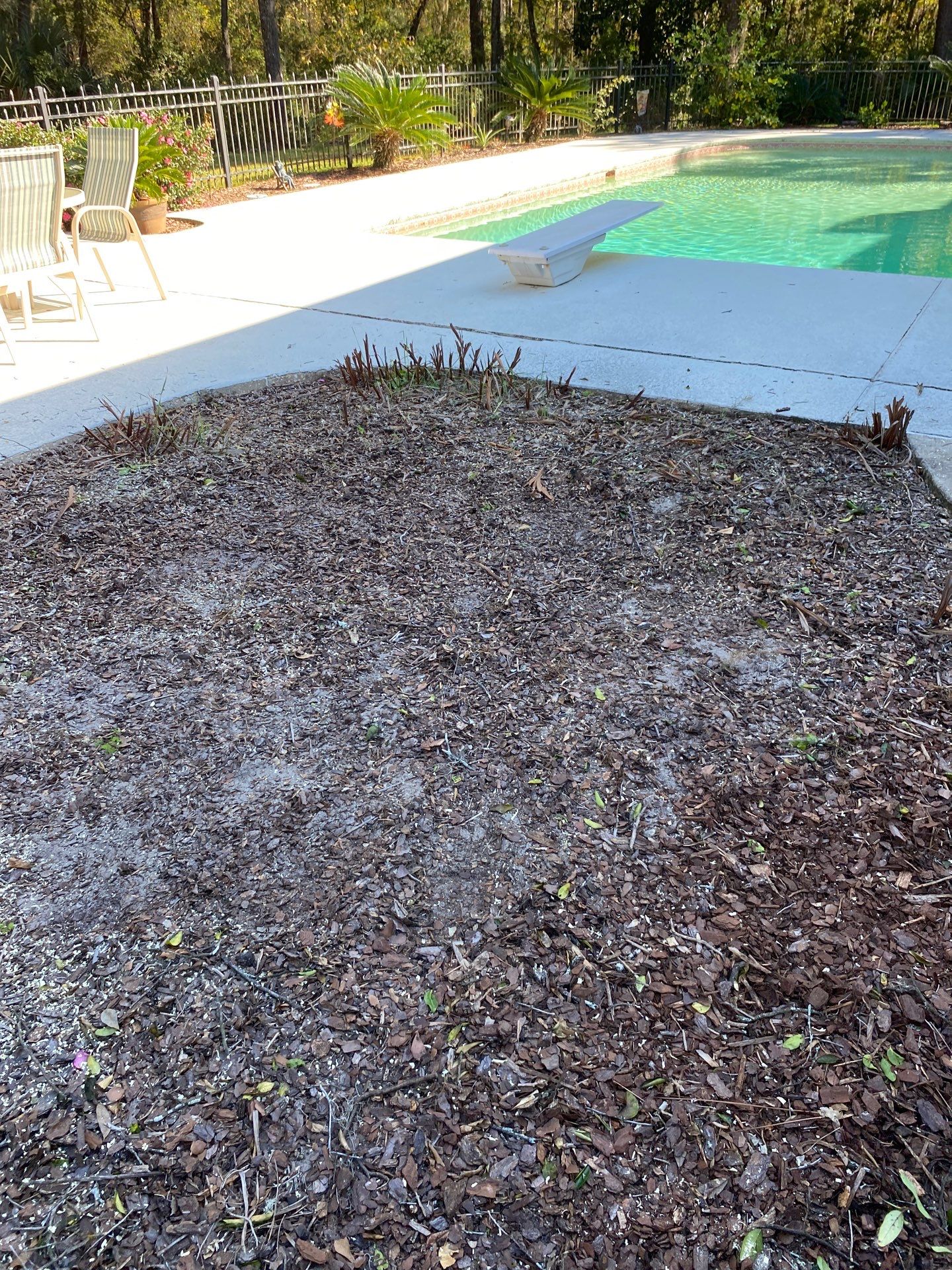 Deerwood Residence | Tree Work by ProGreen Services