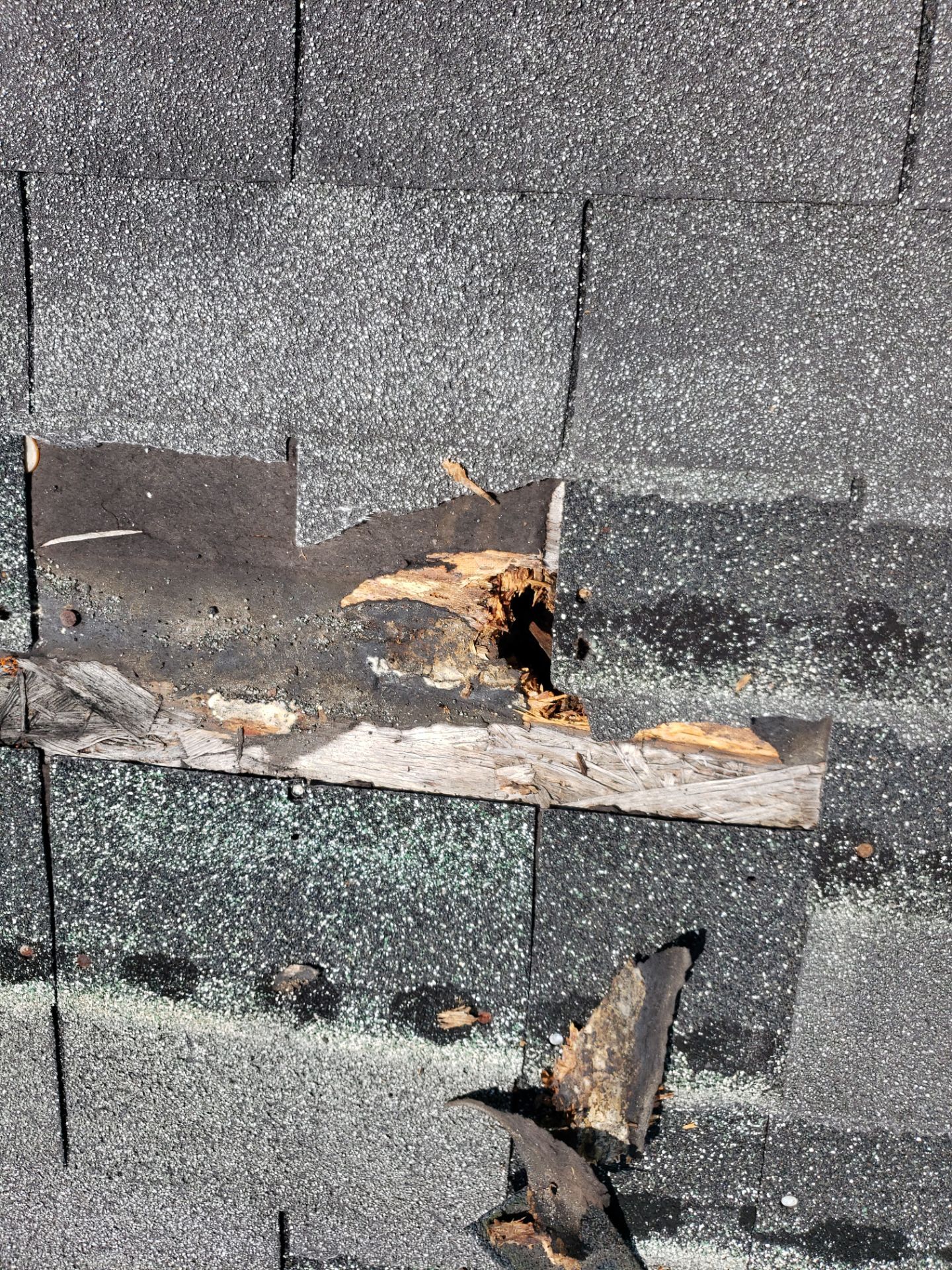 True Force Roofing featured photo.