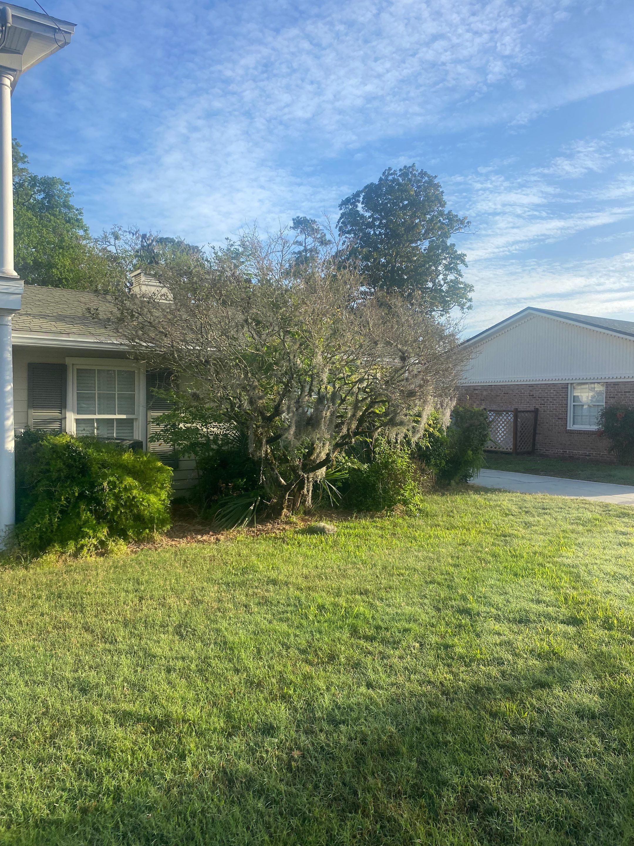 Residential | Tree Removal & Trimming by ProGreen Services