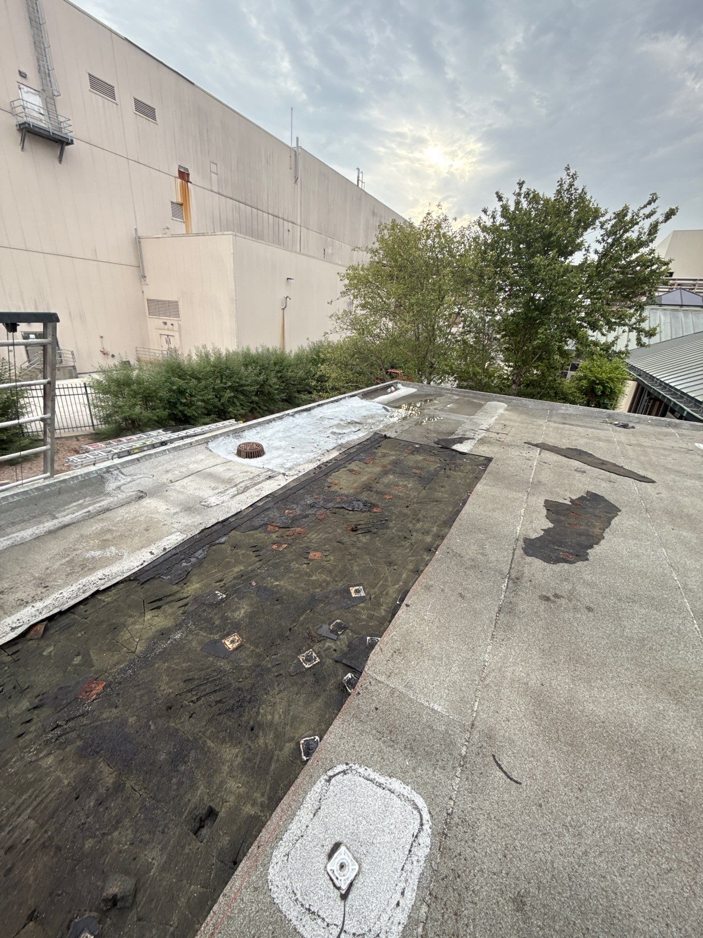 Roof Replacement in Pleasantville Area, Houston TX by Roof Repair Company