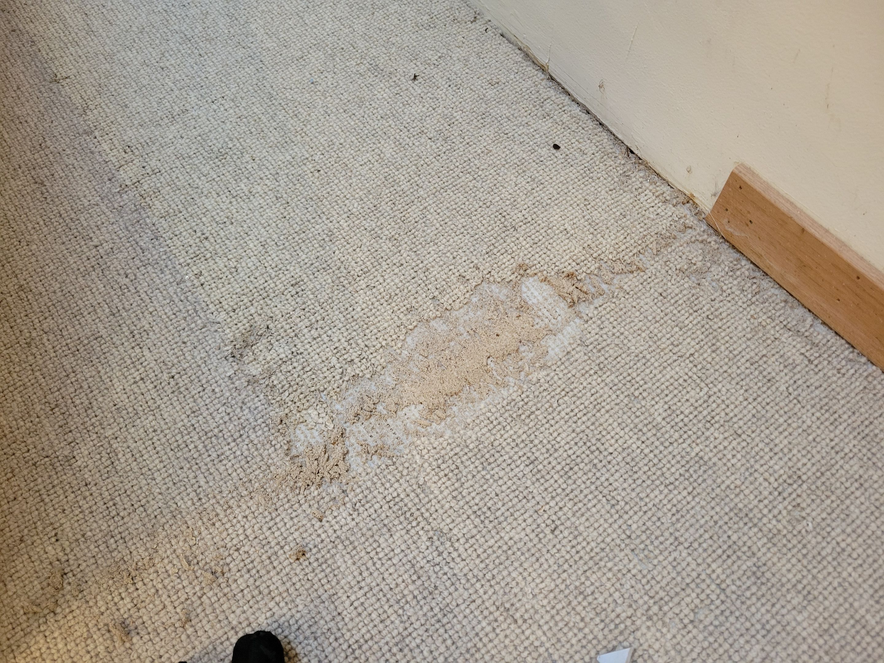 Repair and Cleaning of Wool Carpeting by Ardent Carpet Restore LLC