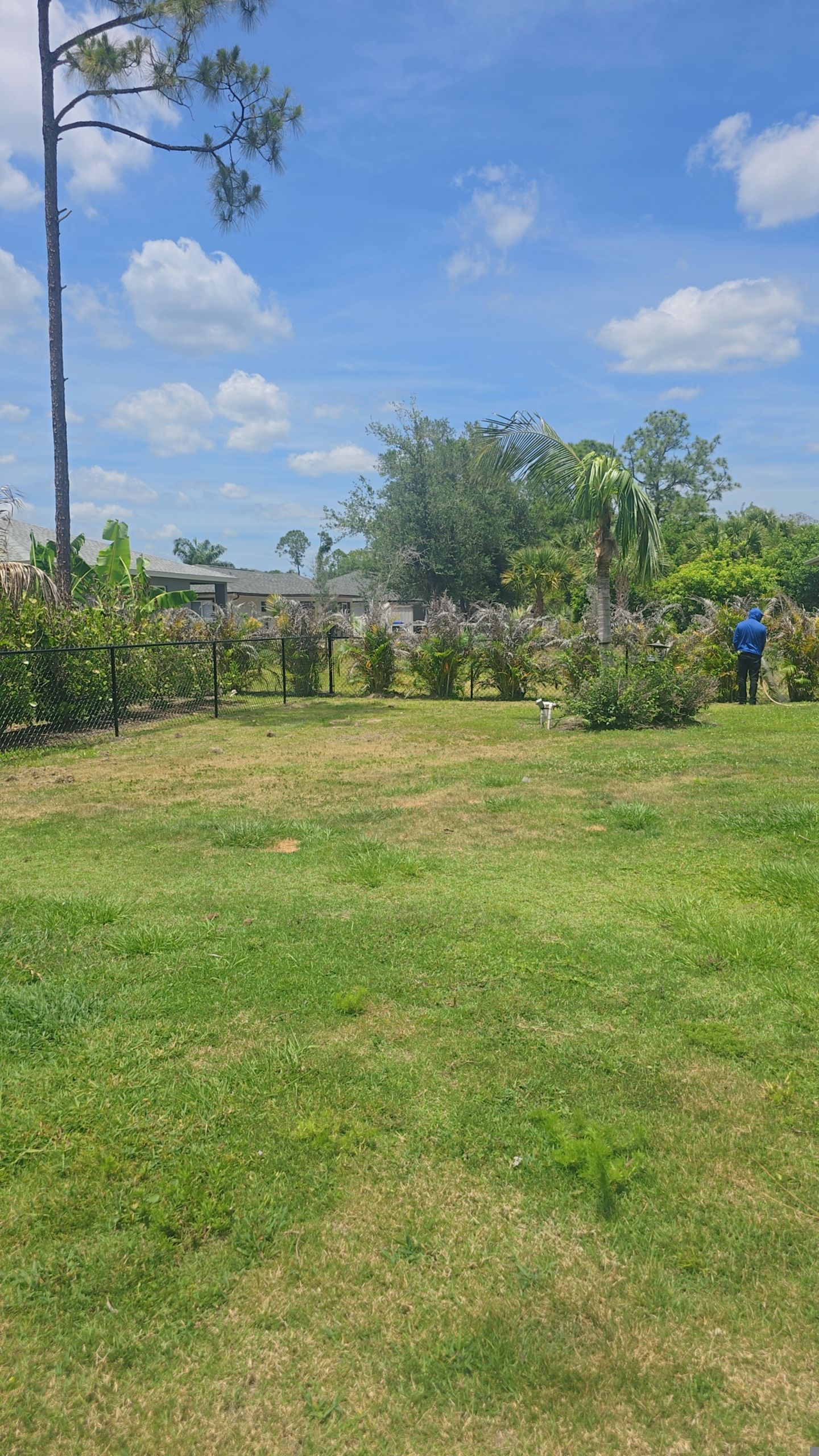 Chain Link Fence in North Port by True Fence LLC