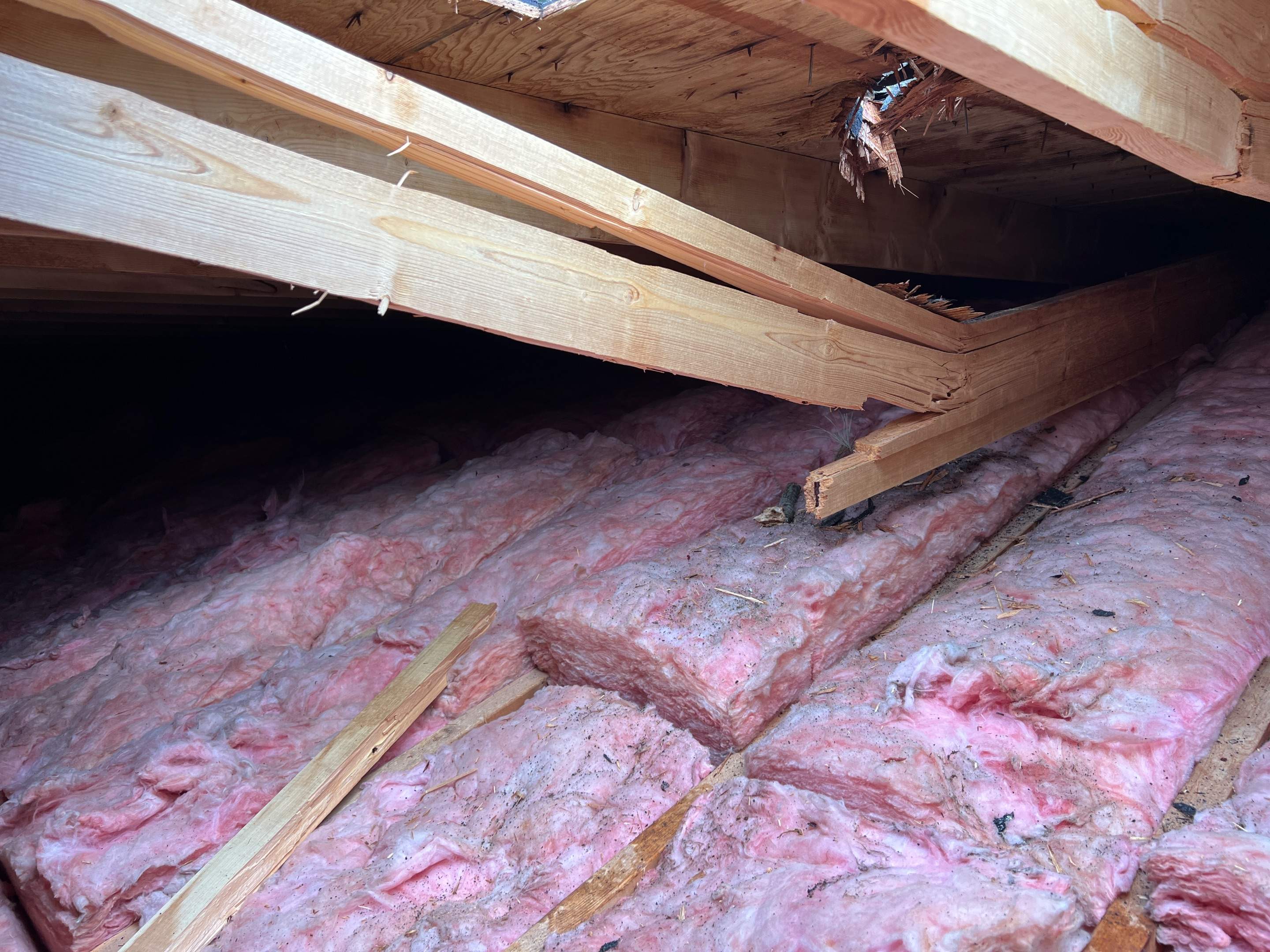 Tree Damage/Roof Repair by Chagnon Building & Remodeling LLC