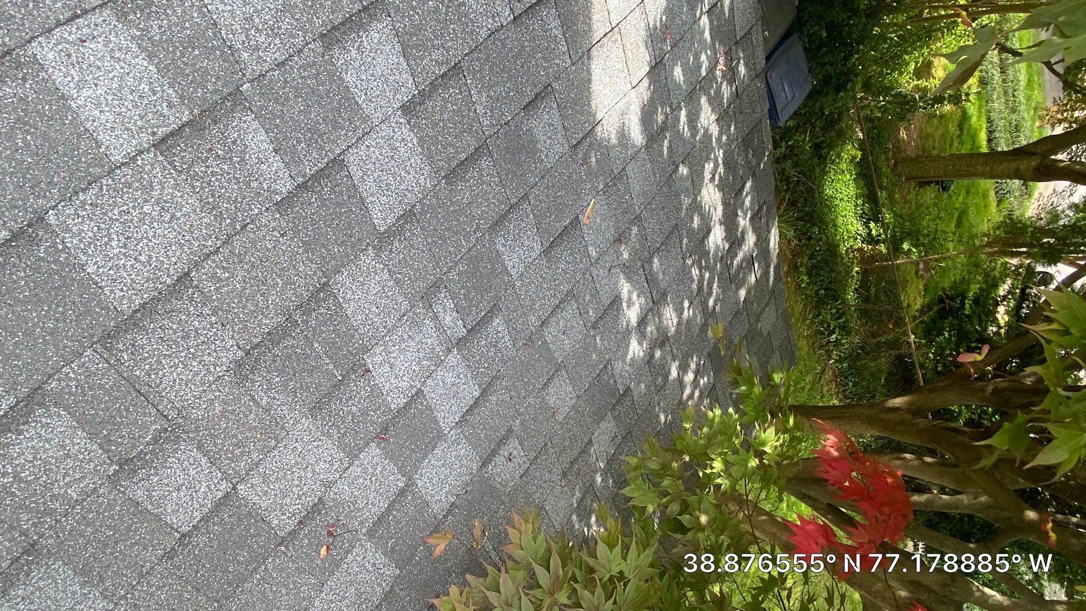 Falls Church: CertainTeed Landmark Pro Designer Shingles in Max Def Pewter by RM Banning, Inc.