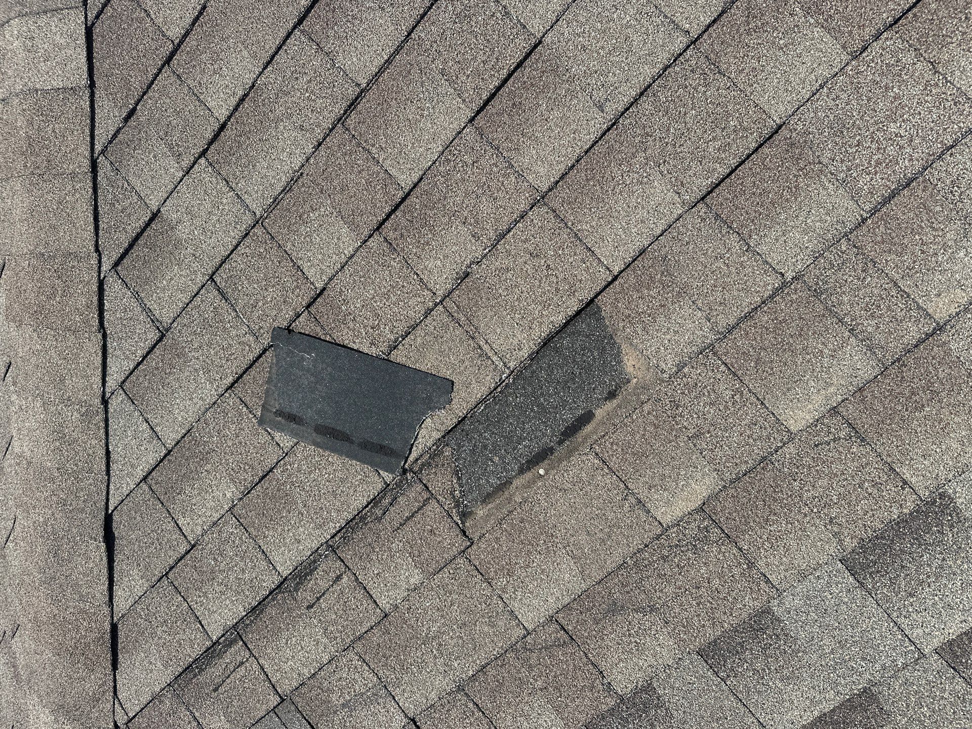 Roof Damage  by Zeus Exteriors