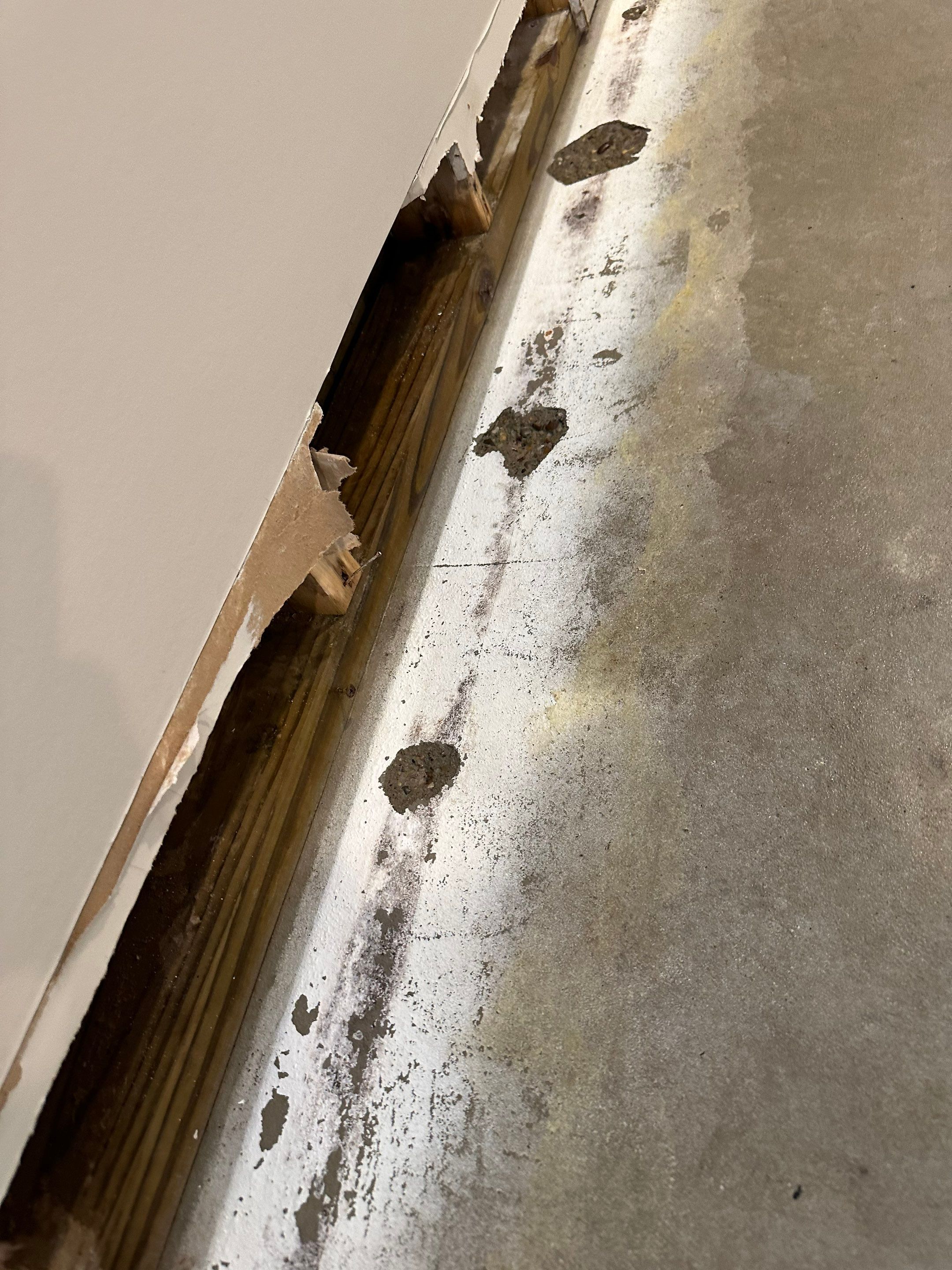 Foundation leak long term damage in new build home by BlueRed Restoration