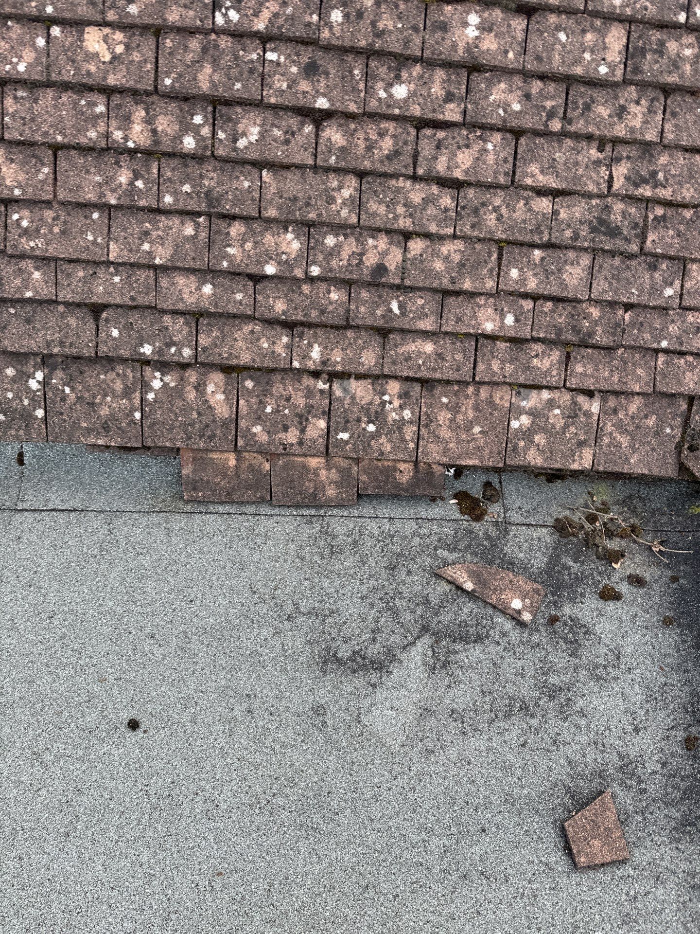 Exterior Clean - Roof - Patio - Driveway using honda 21 ltr/min by Ges Exterior Cleaning ltd