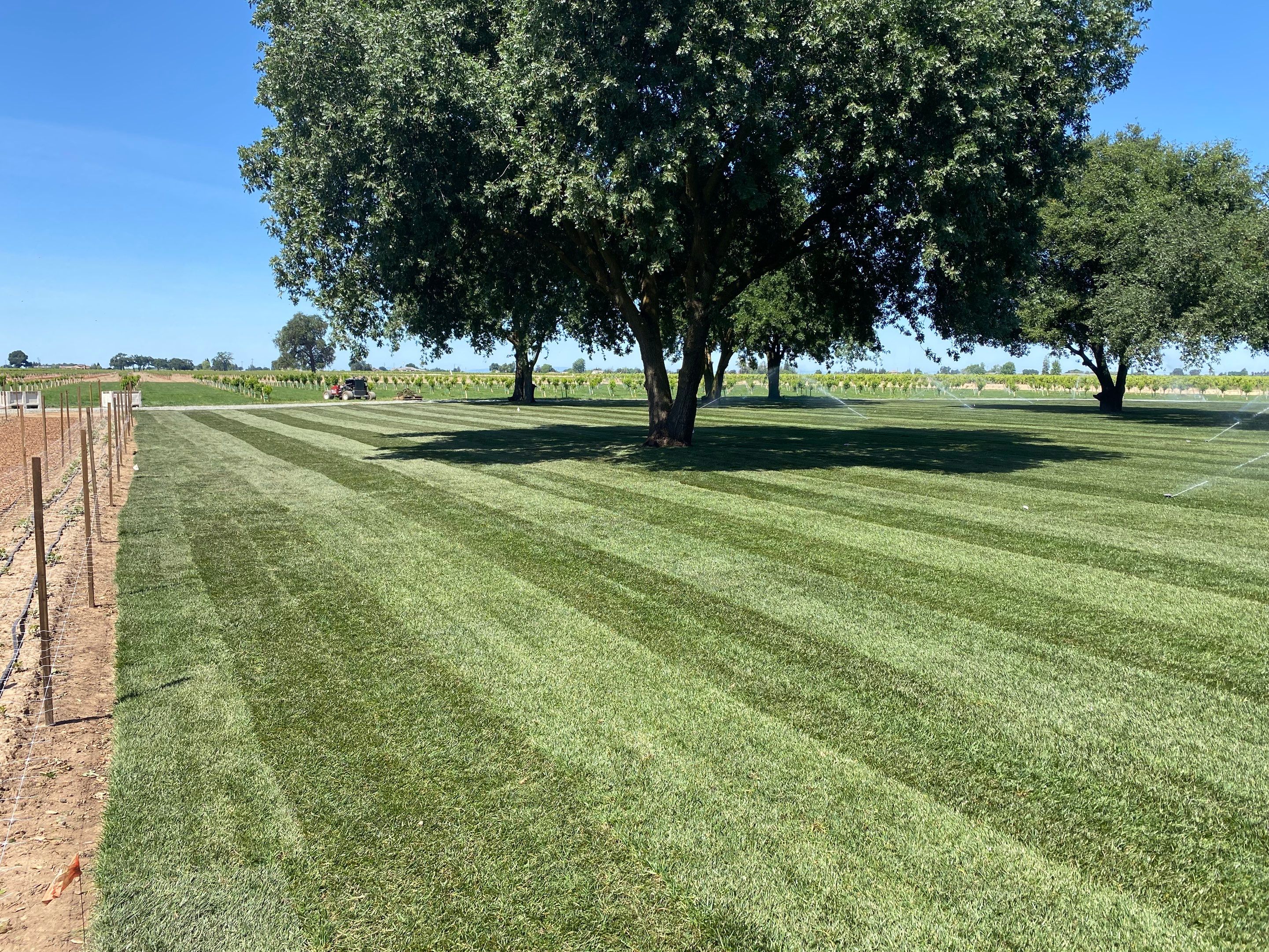 Project in Lodi by A - G Sod Farms