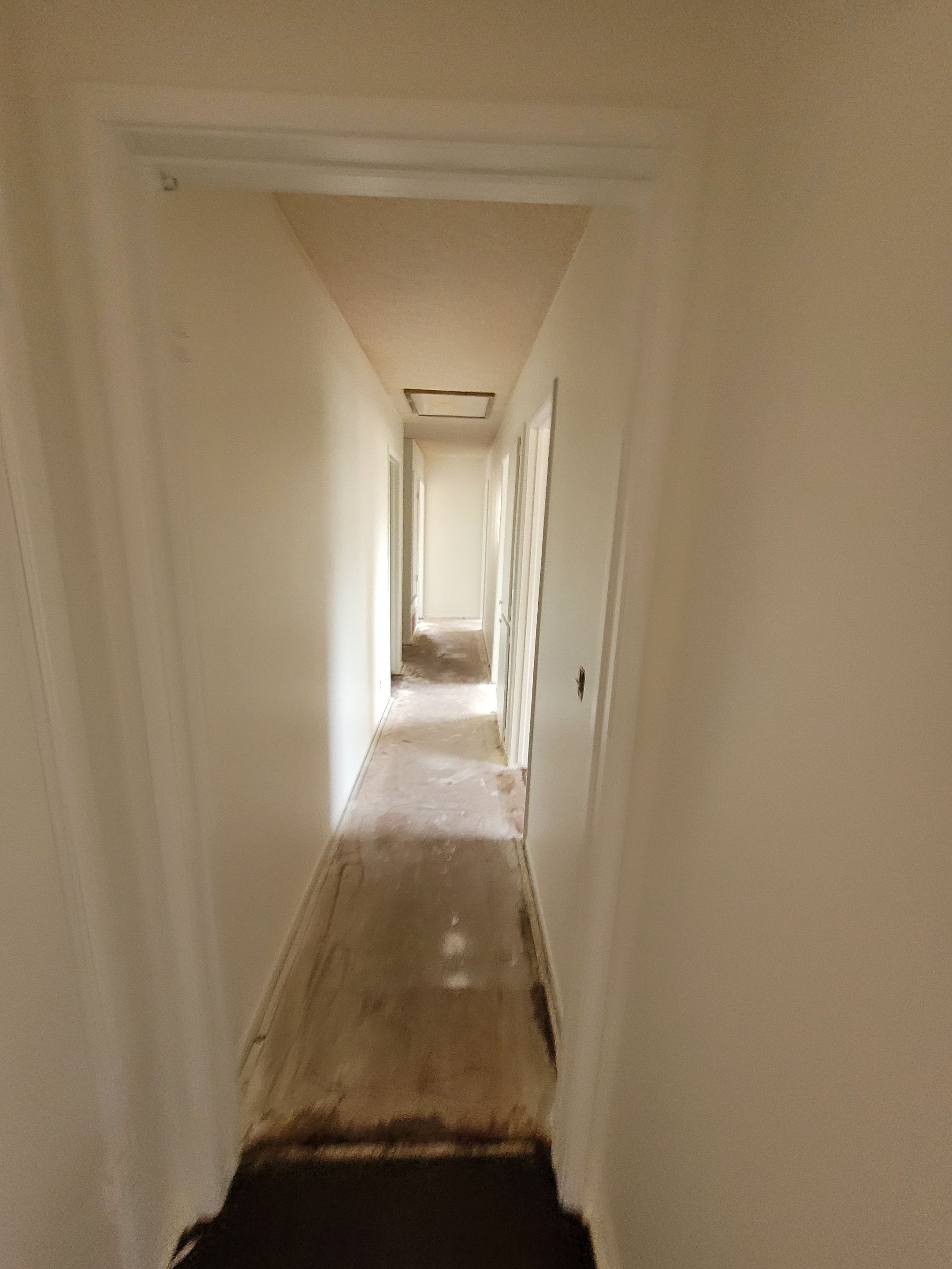 LP's Interior Residential by Asis Painting Inc
