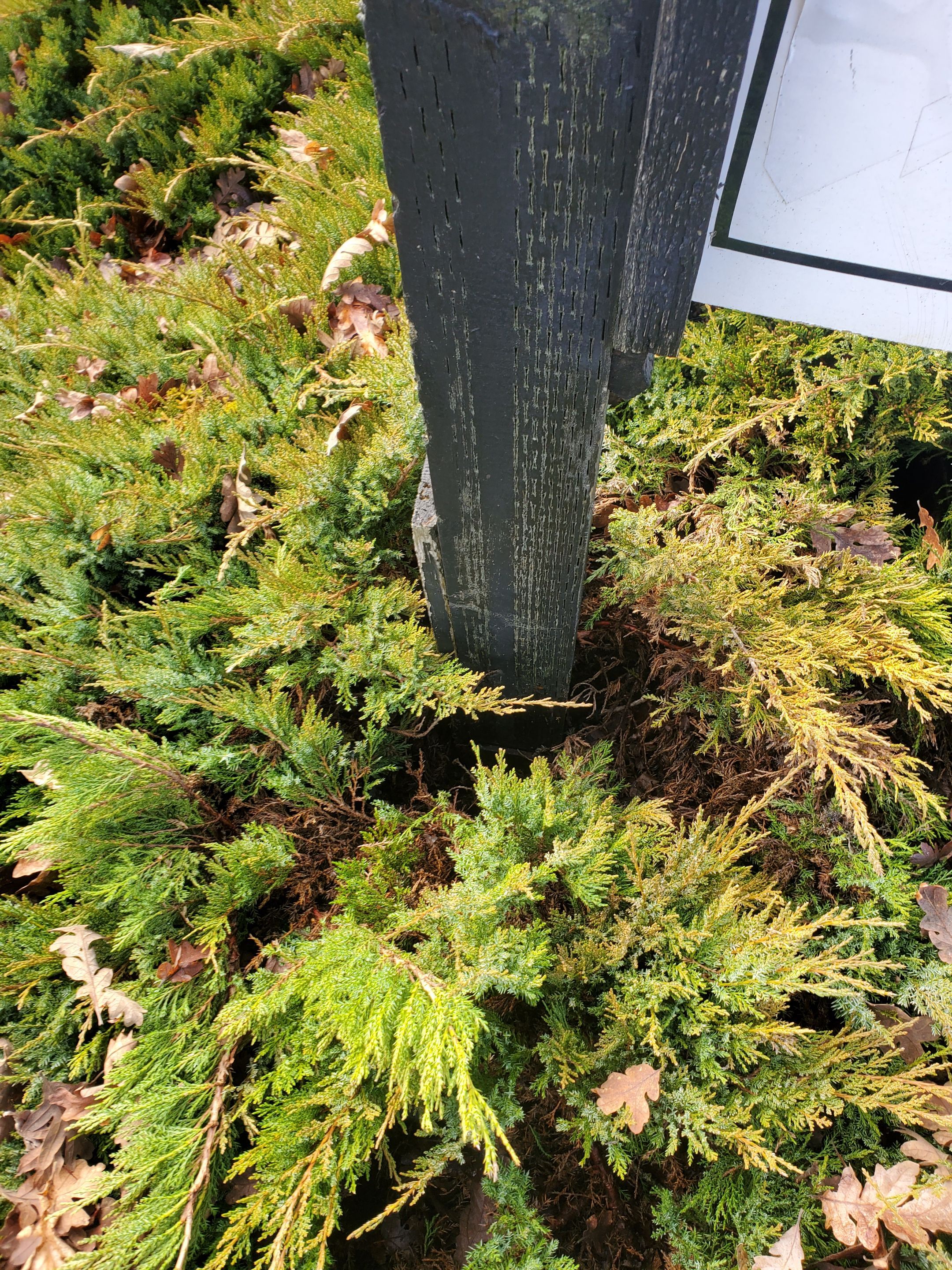 Secure both exterior business signage by Construction Now LLC