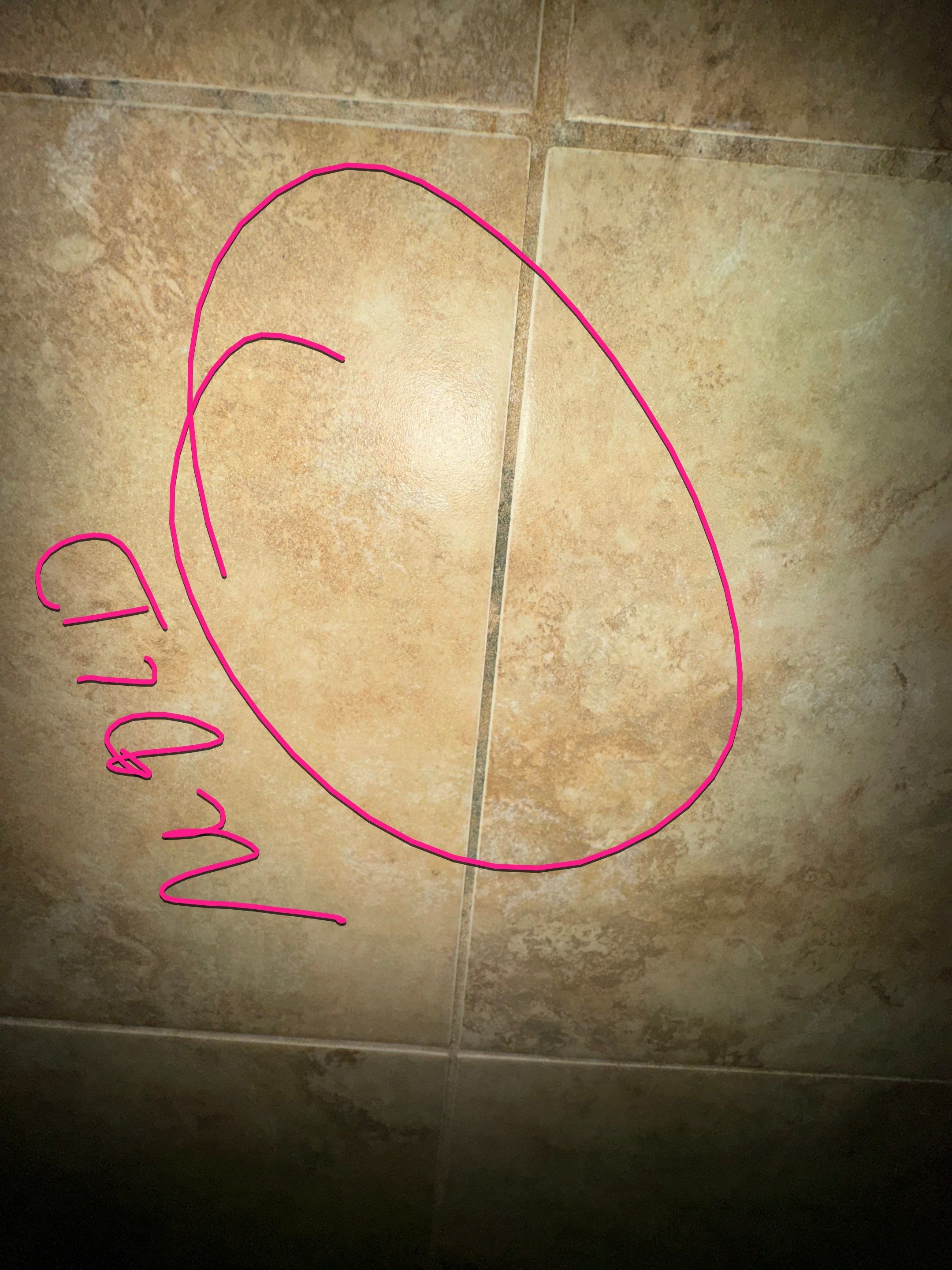 Tannersville - Tub to Shower Conversion by Fix Core LLC