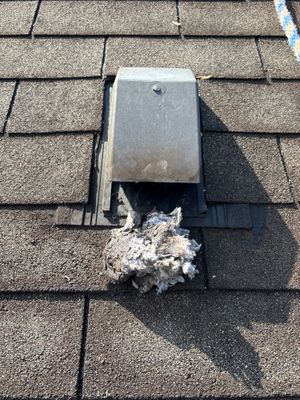 Clean Gutters 