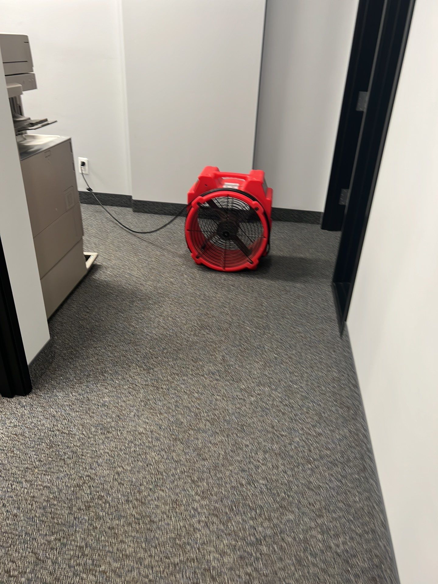 Project in Southfield by EzDry Water Mitigation & Property Restoration