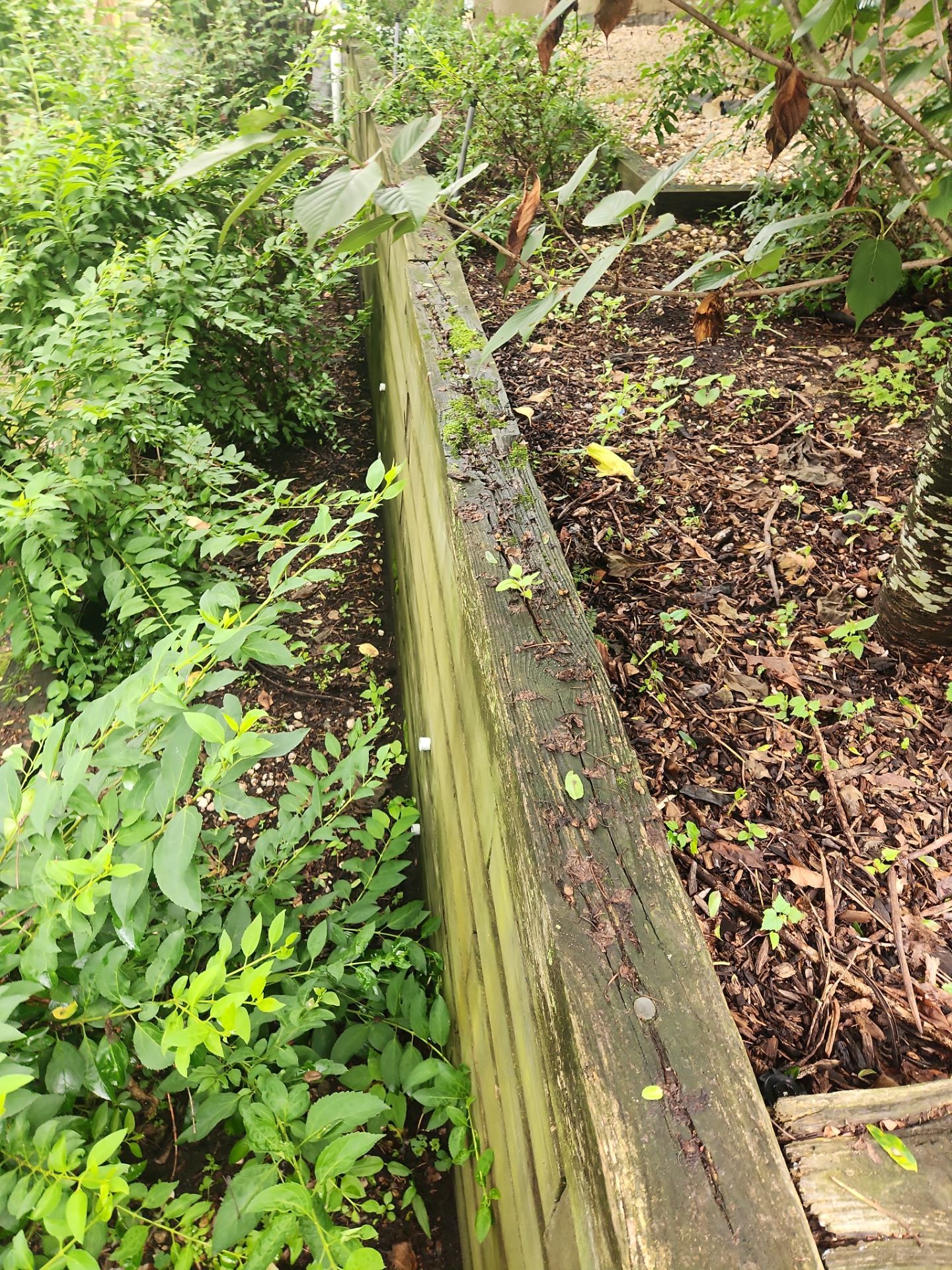 Hanford St, Flushing, NY 11362 by A.M. Shield Waterproofing, Corp.